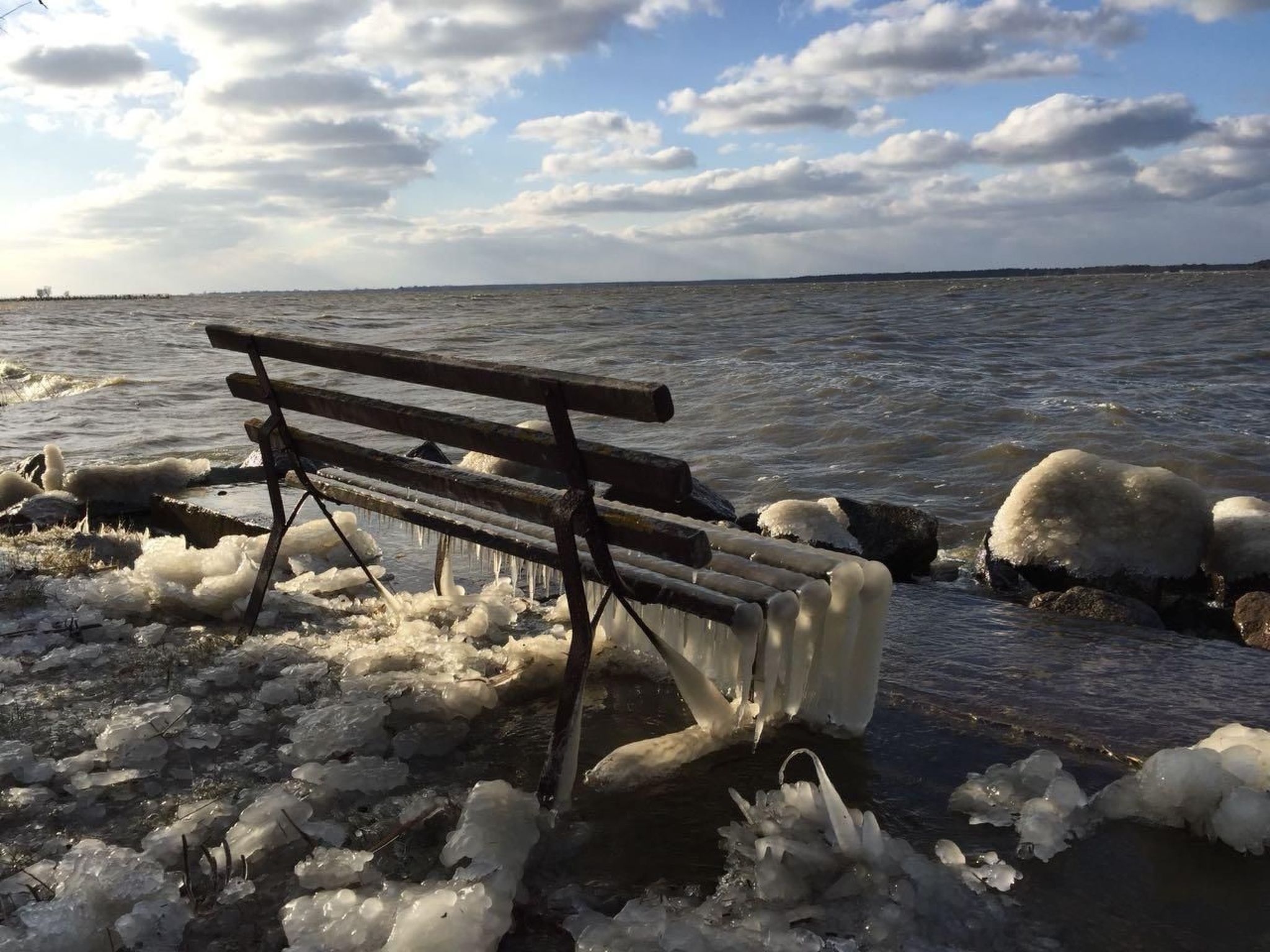 Seeschwalbe Helga-Image-tags.info