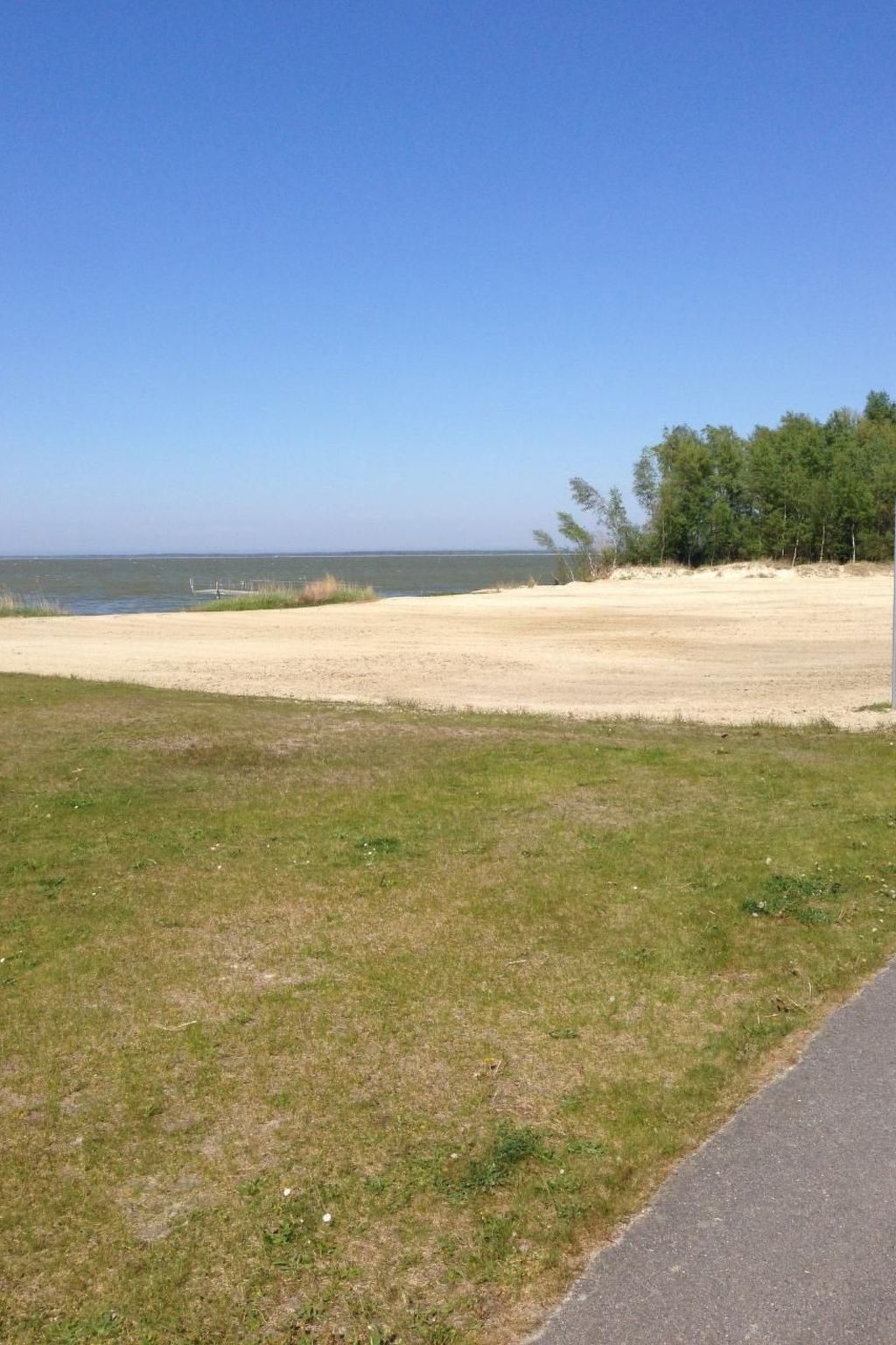 Seeschwalbe Helga-Image-tags.info