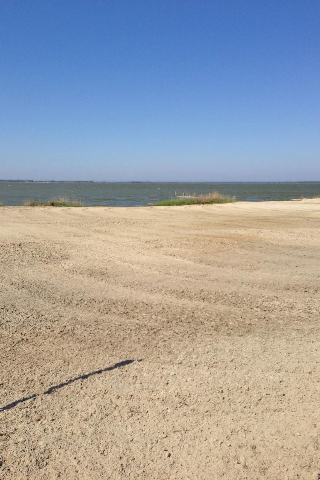 Seeschwalbe Helga-Image-tags.info