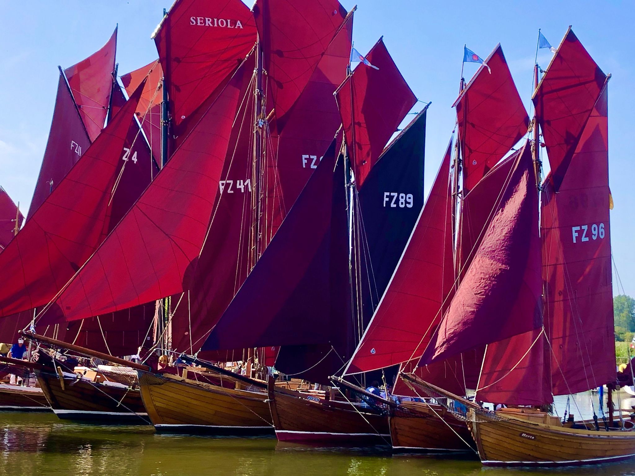 Seeschwalbe Helga-Image-tags.info