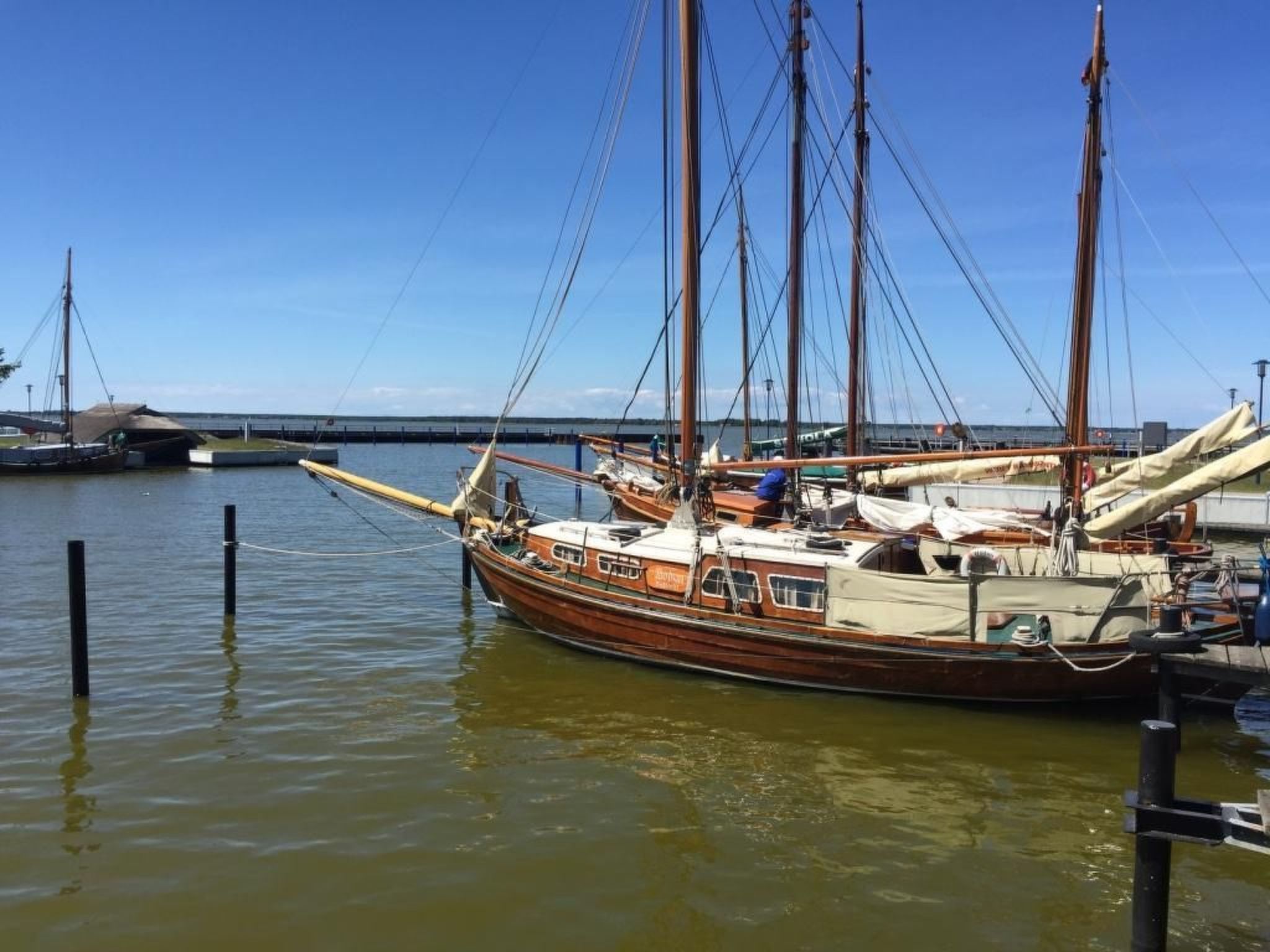 Seeschwalbe Helga-Image-tags.info