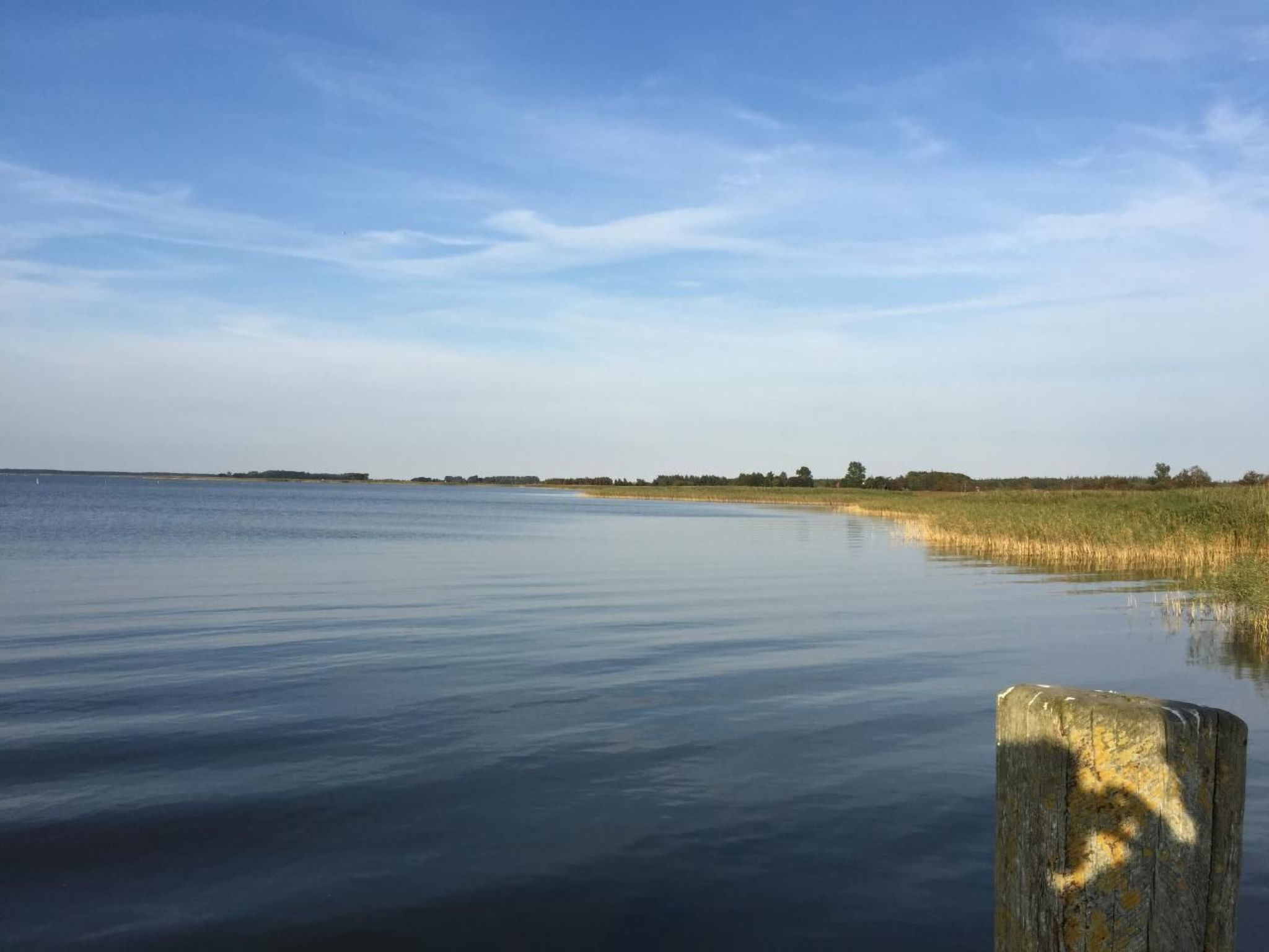 Seeschwalbe Helga-Image-tags.info