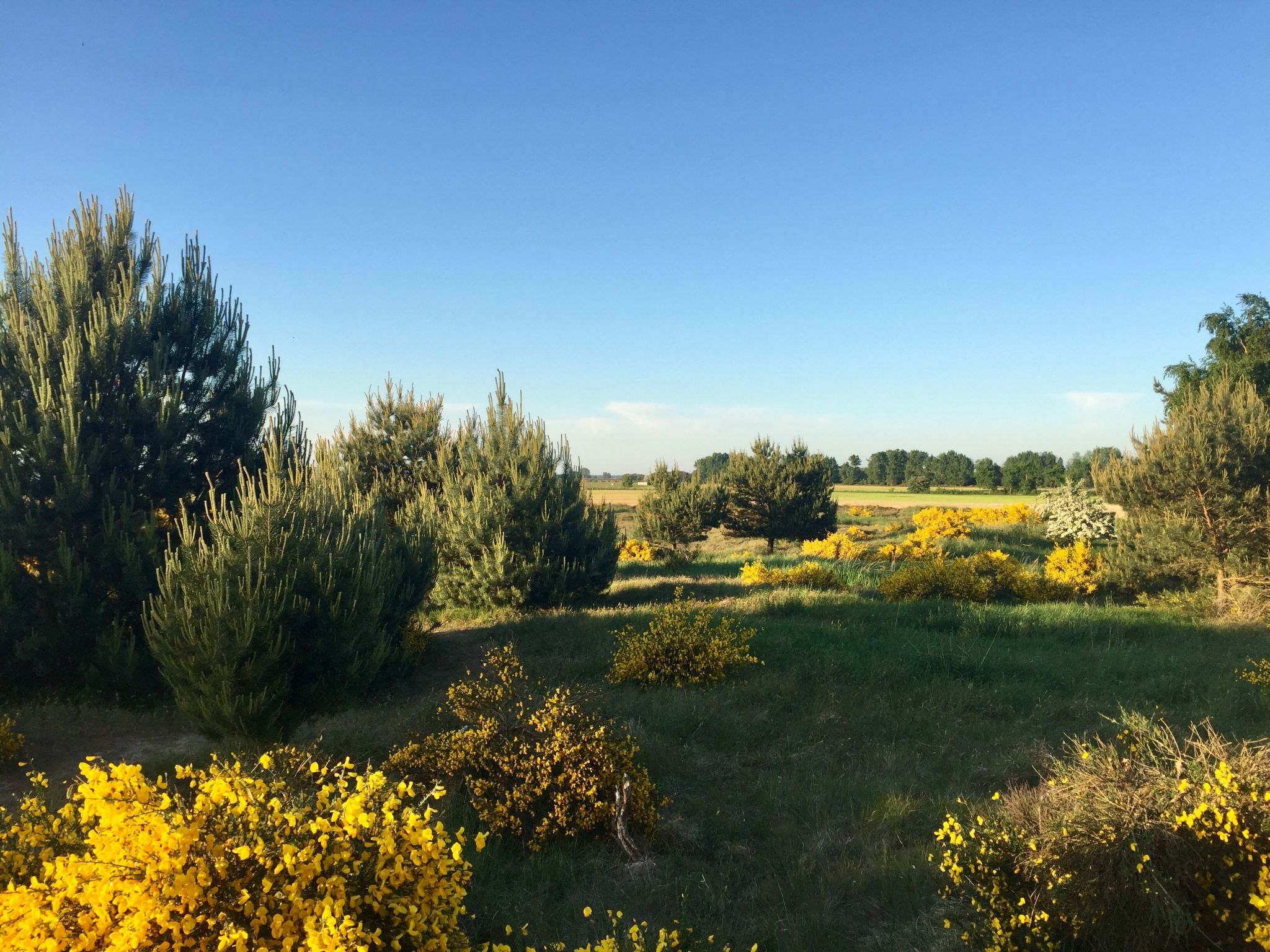 Wiesenblick 8-Binnen