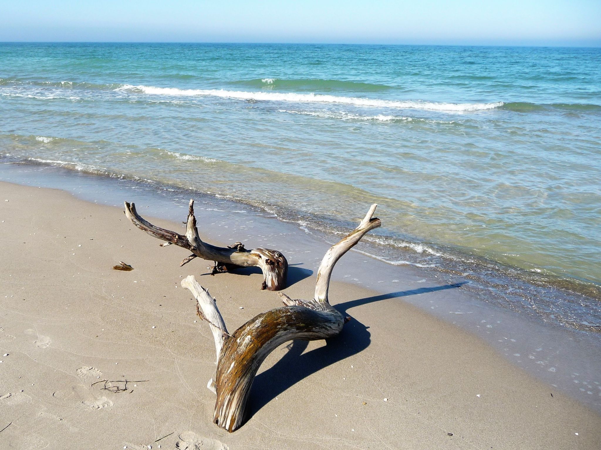 Wiesenblick 2-Binnen