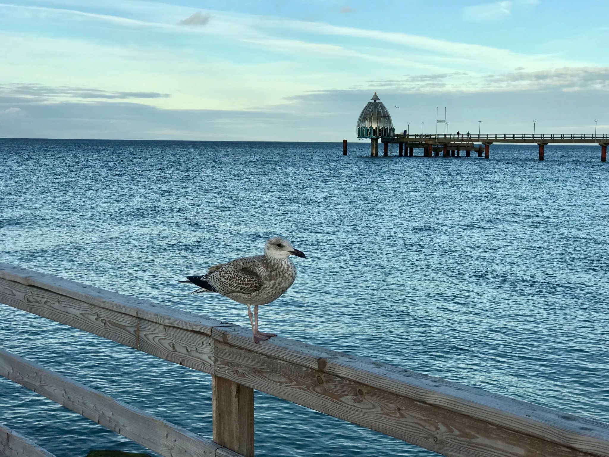 Wiesenblick 2-Binnen
