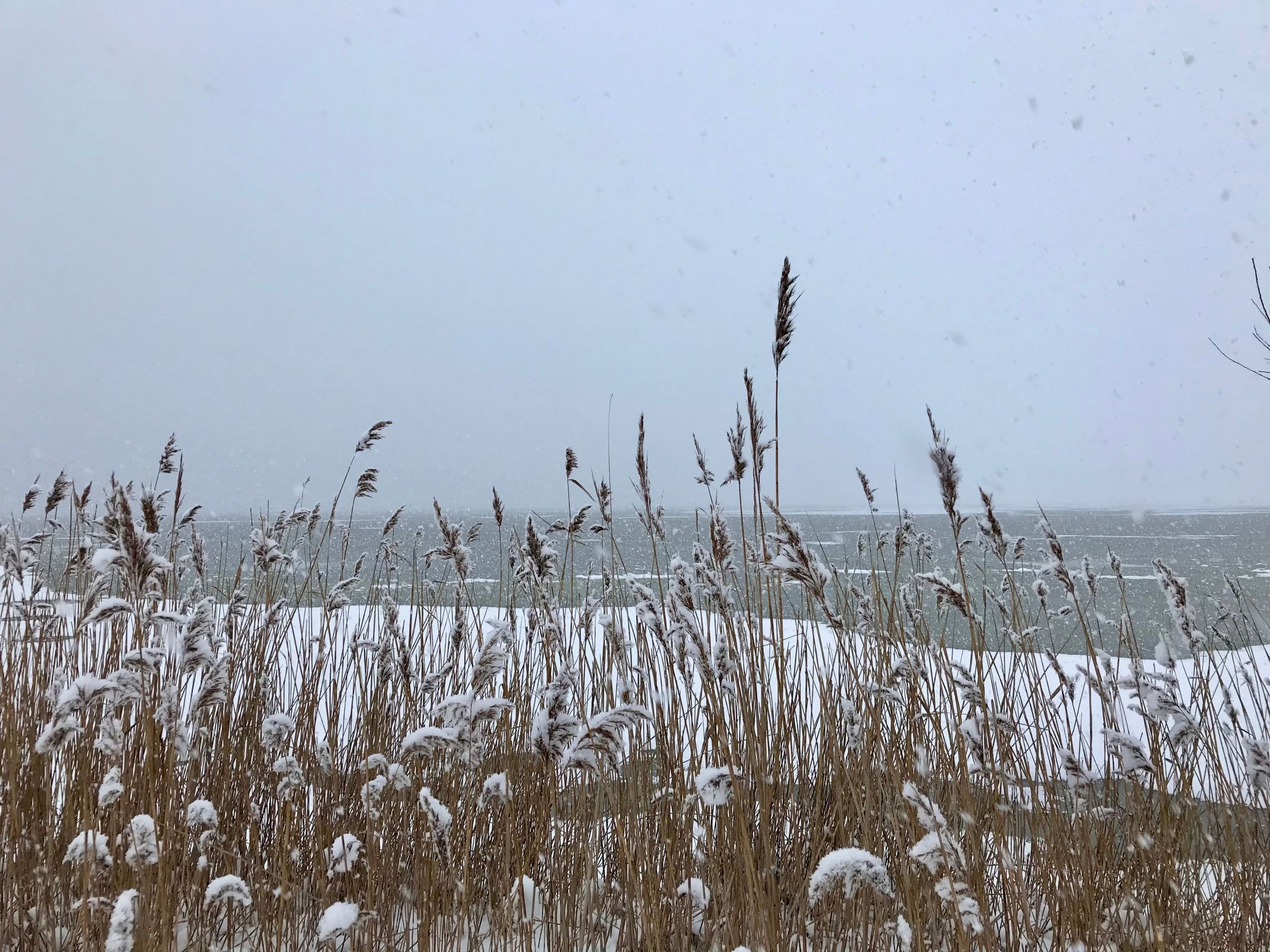 Wiesenblick 2-Binnen