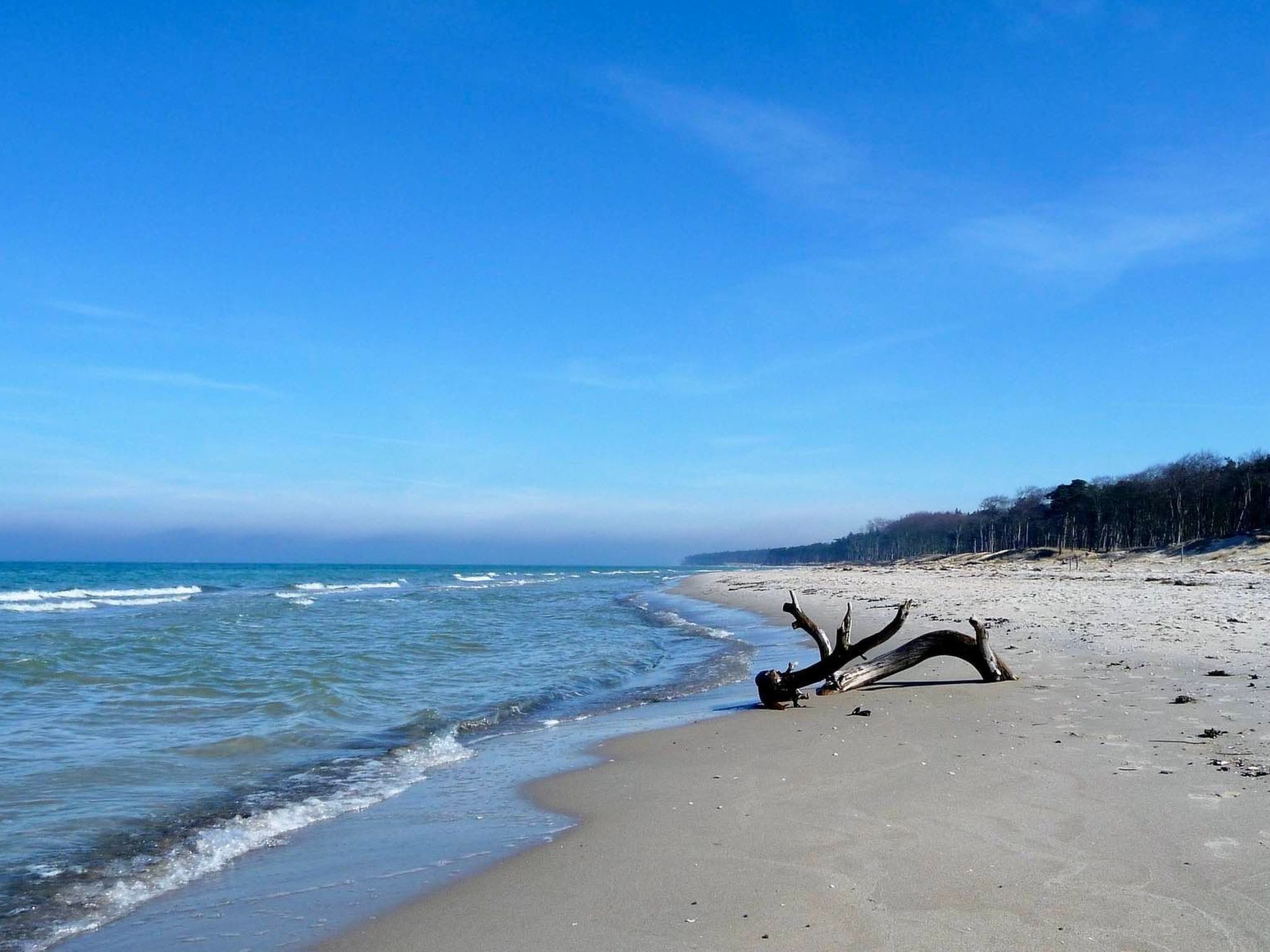 Wiesenblick 5-Binnen