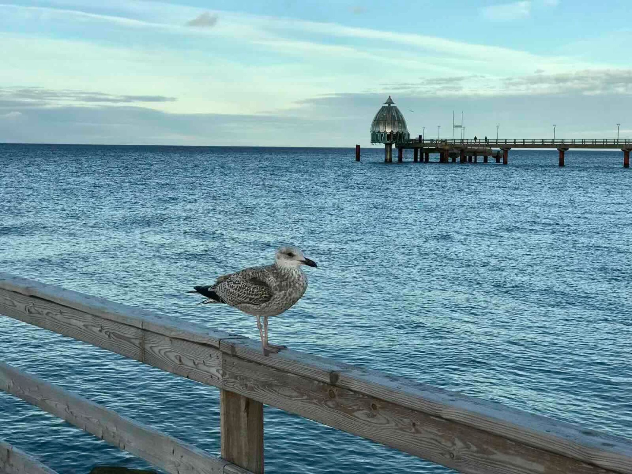 Wiesenblick 5-Binnen