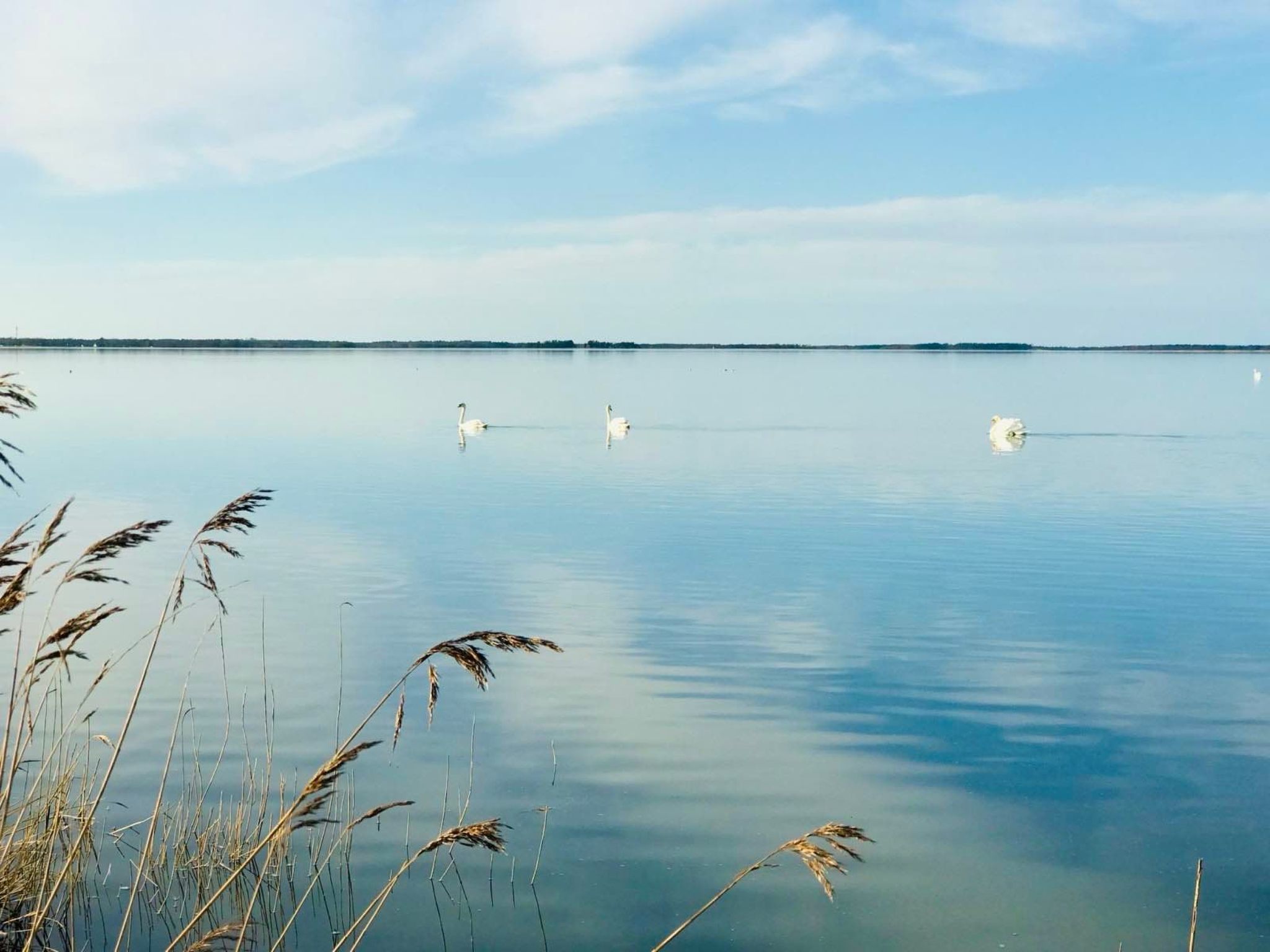 Wiesenblick 5-Binnen