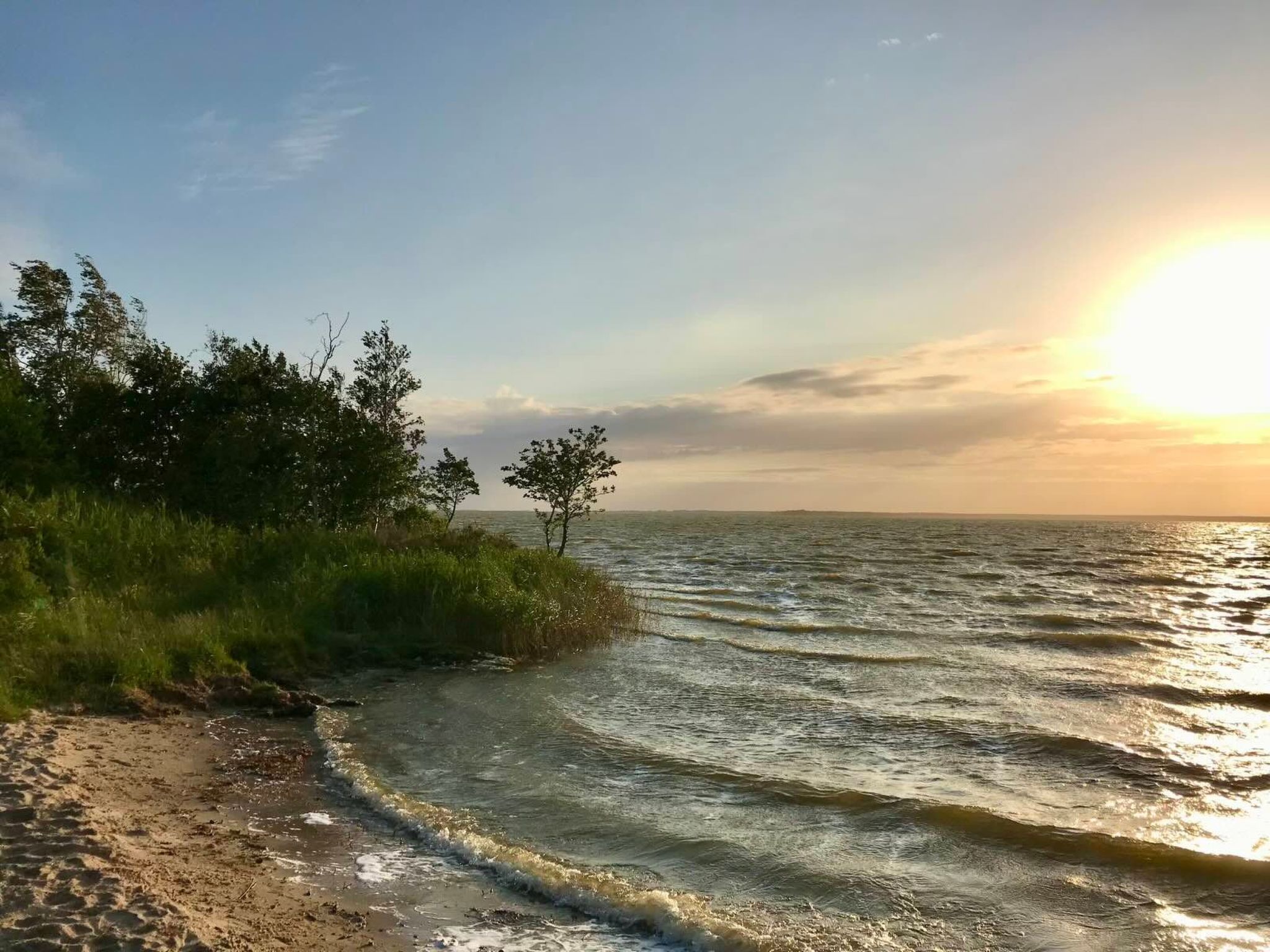 Wiesenblick 5-Binnen