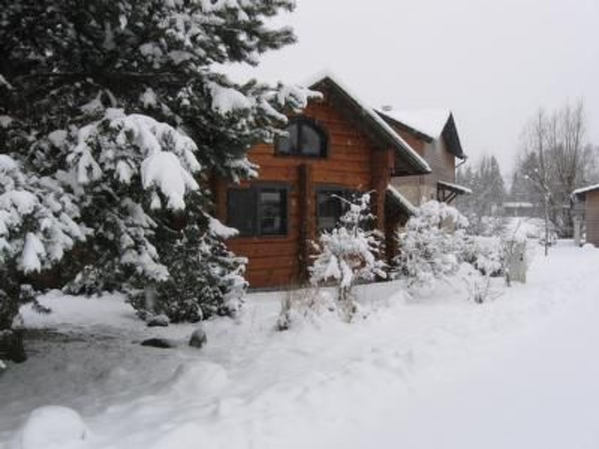 DatTraumhus-Image-tags.info