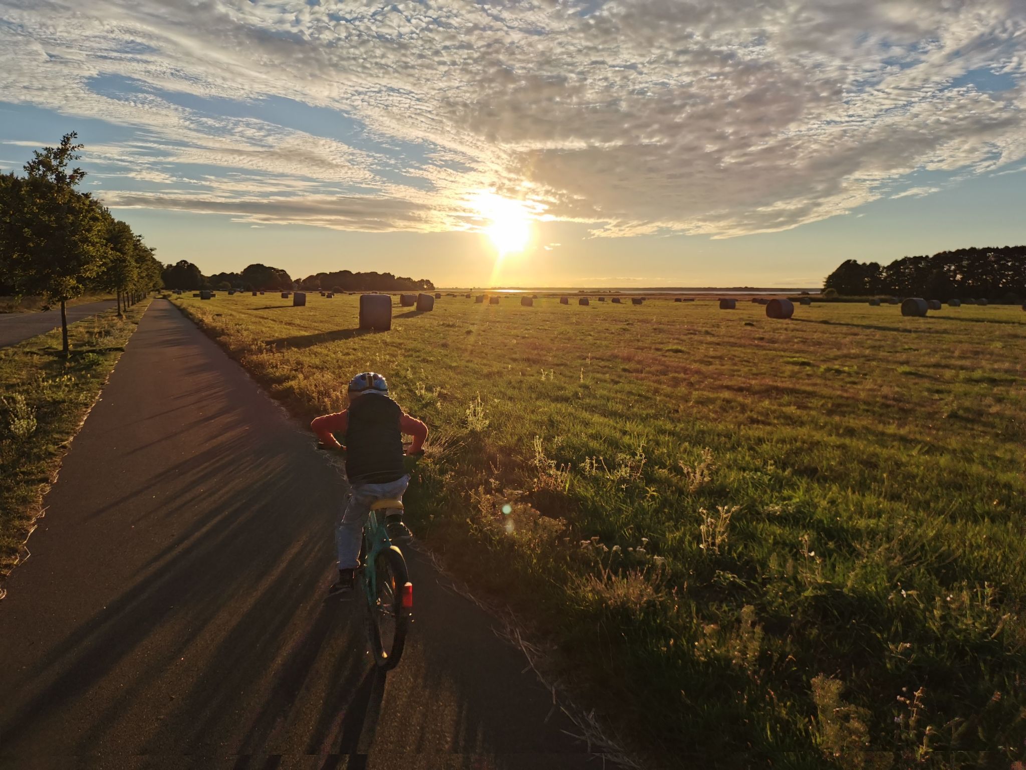 FeWo Wolli-Image-tags.info