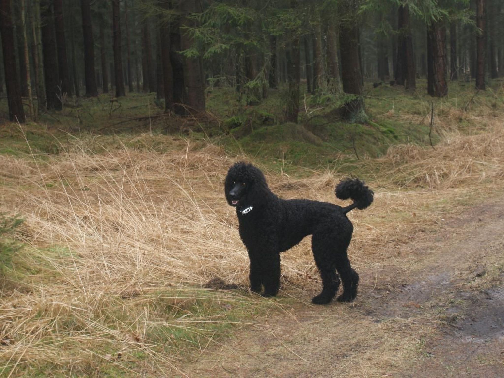 Fünfjahreszeiten in Bodstedt-Binnen