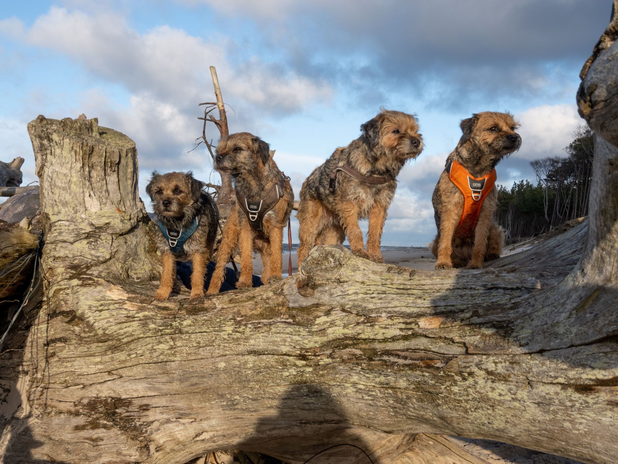 Ostsee-Image-tags.info