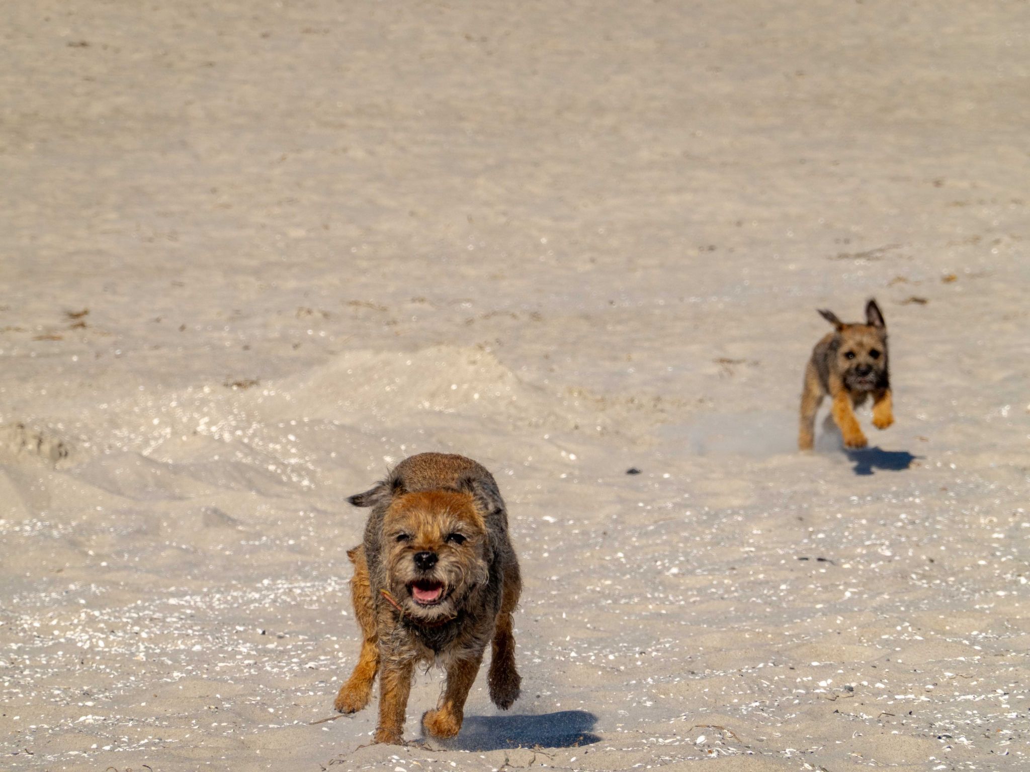 Ostsee-Image-tags.info