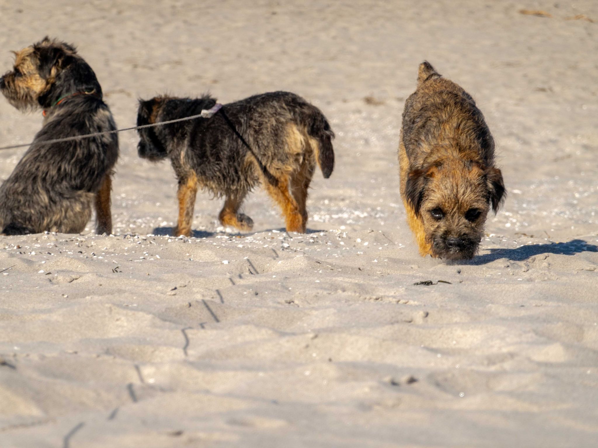 Ostsee-Image-tags.info