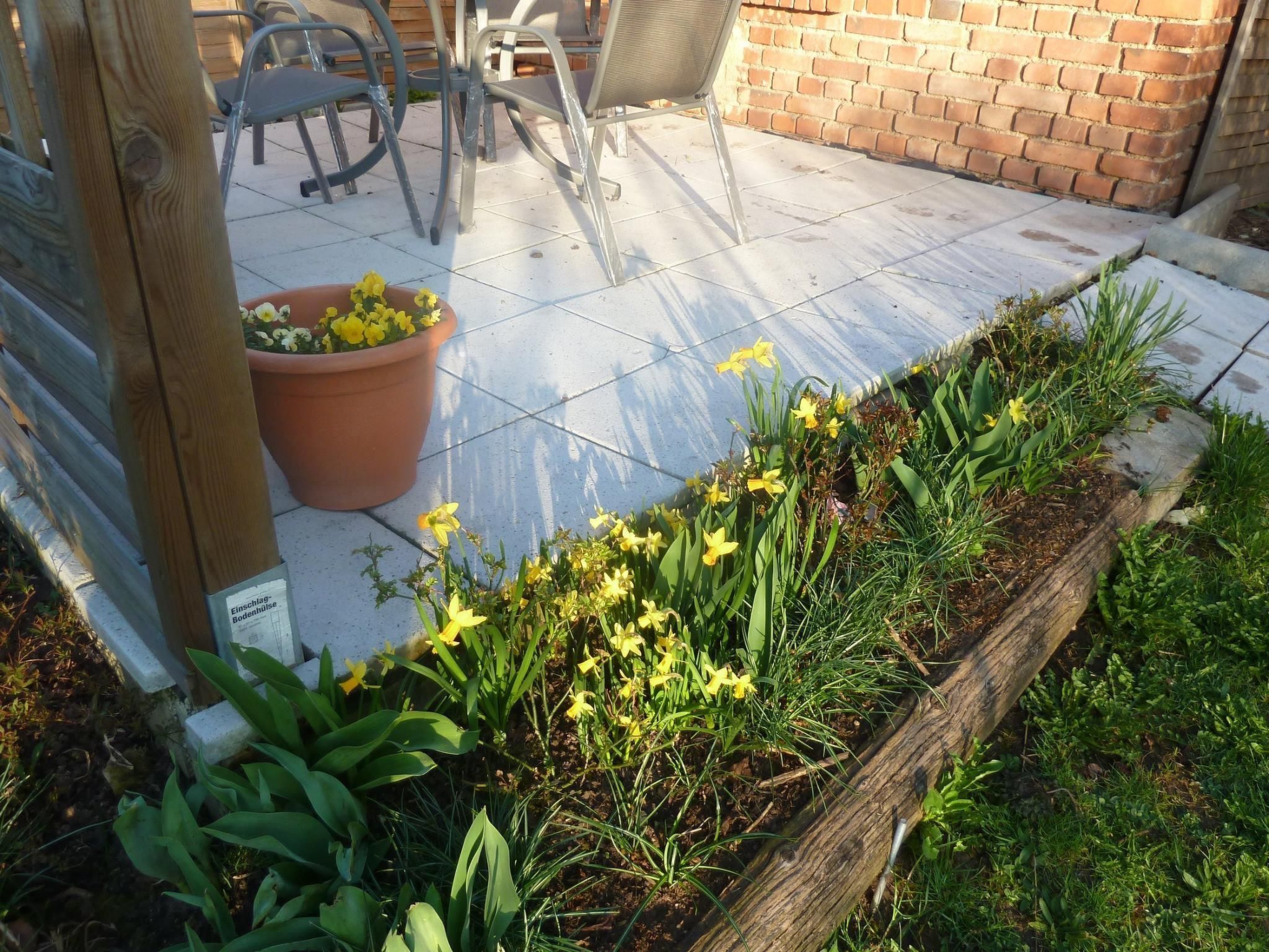 Lotti-Image-tags.info