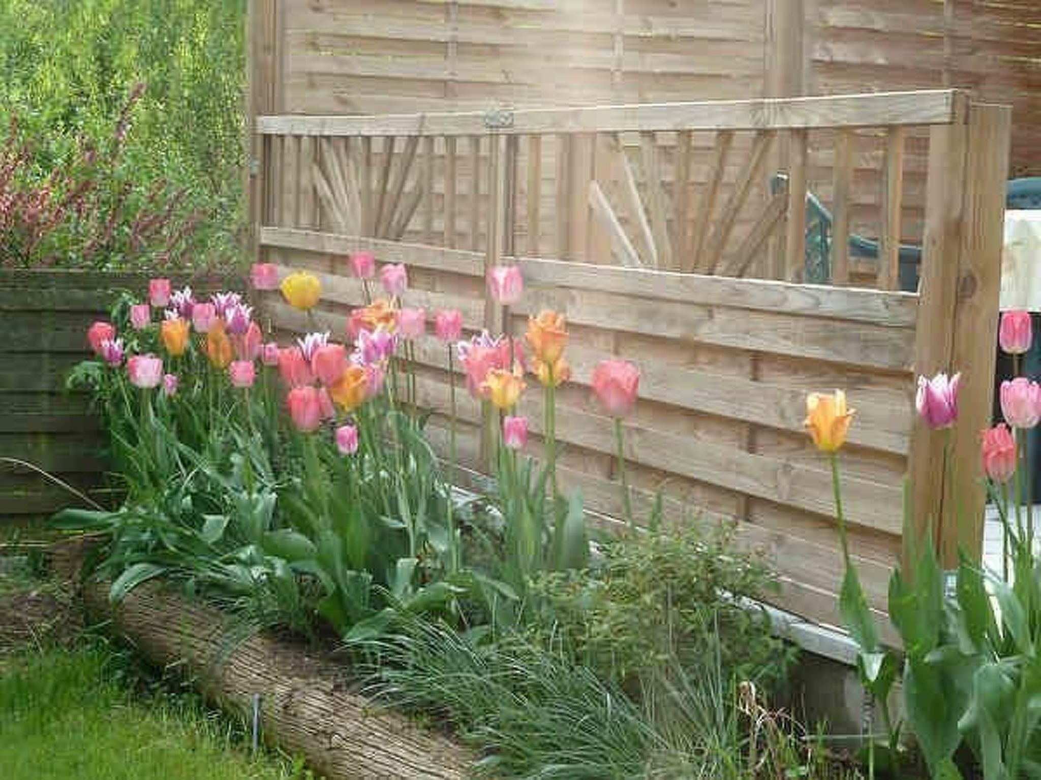 Lotti-Image-tags.info