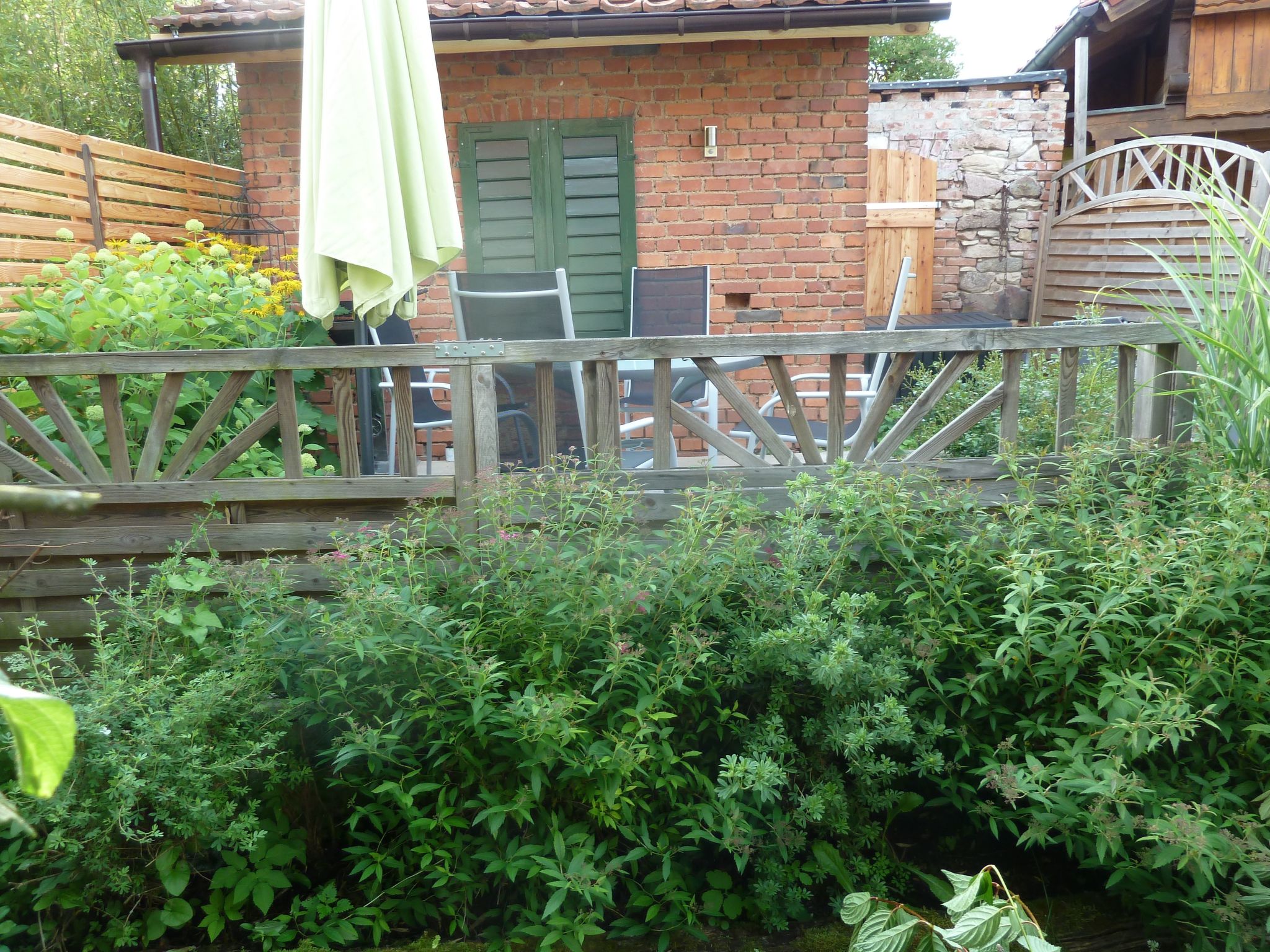 Lotti-Image-tags.info