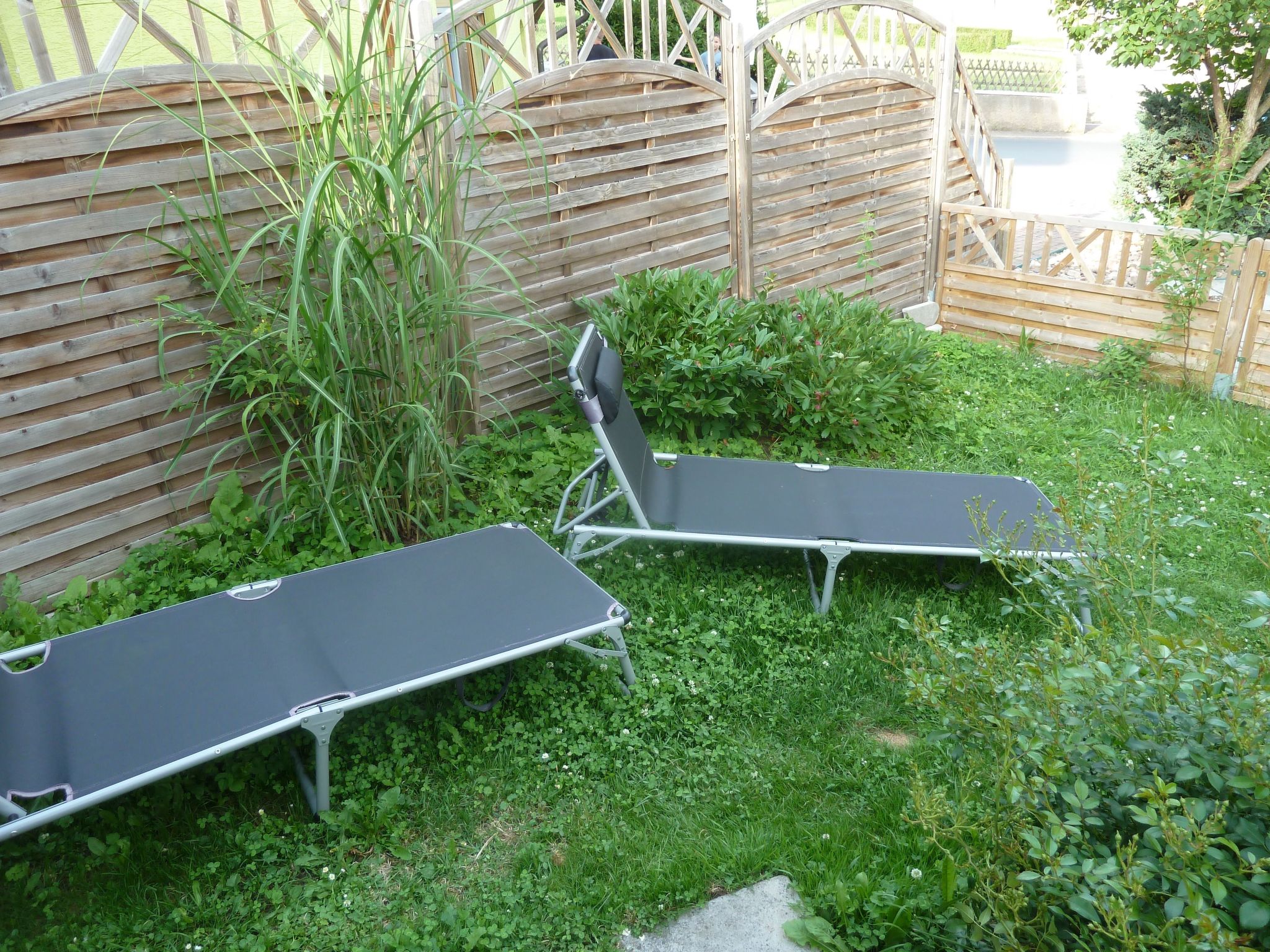 Lotti-Image-tags.info