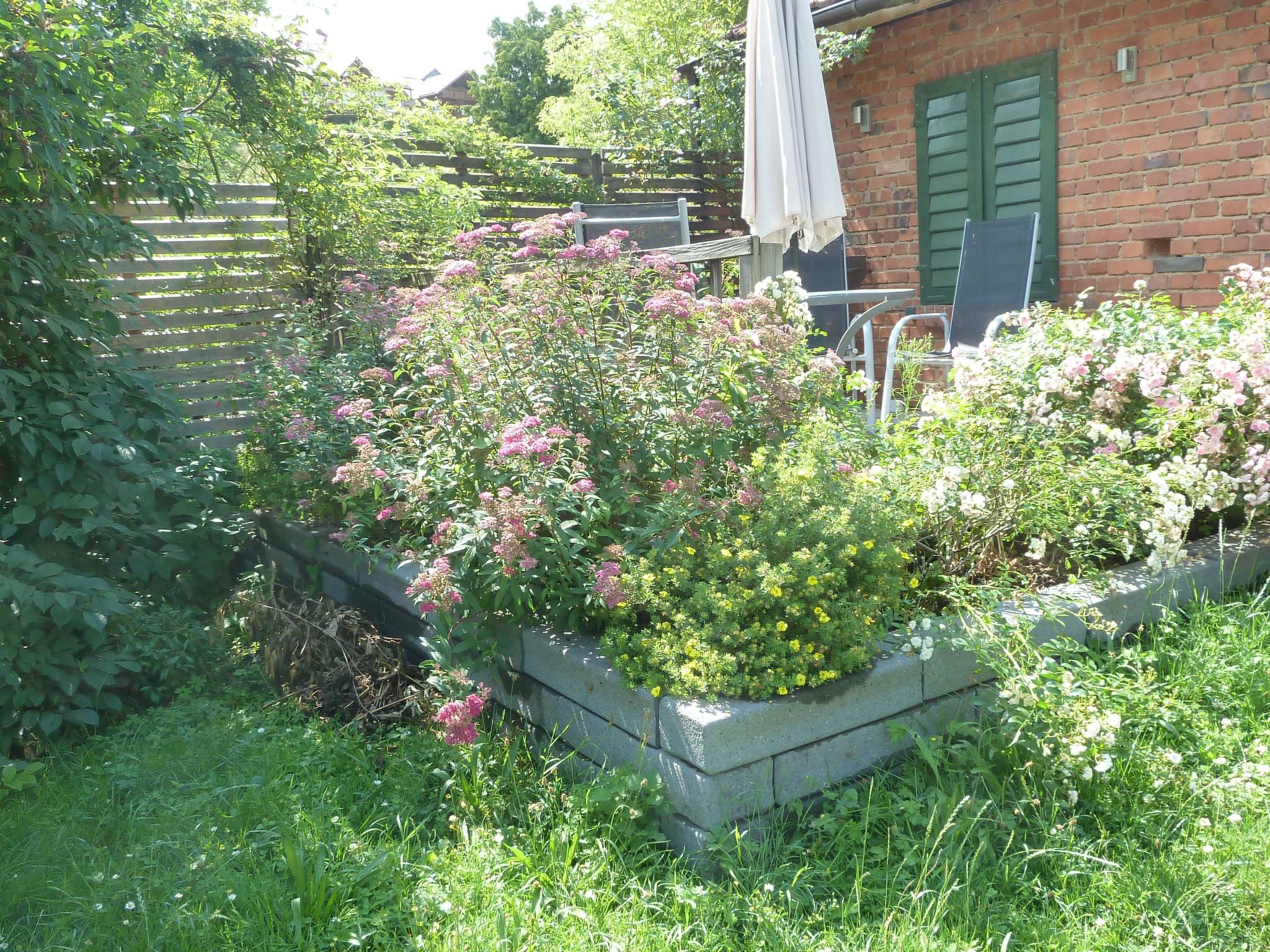 Lotti-Image-tags.info