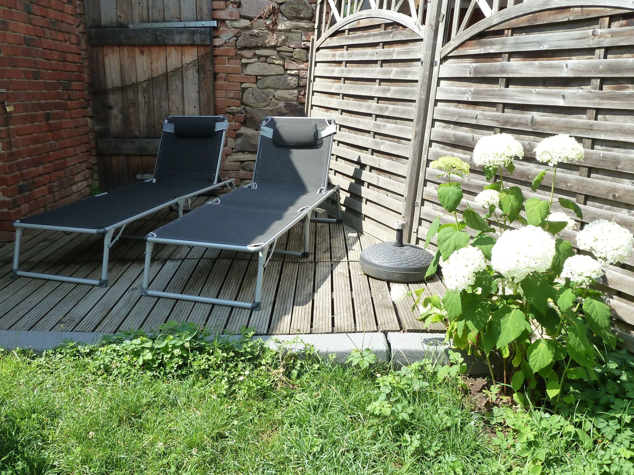 Lotti-Image-tags.info