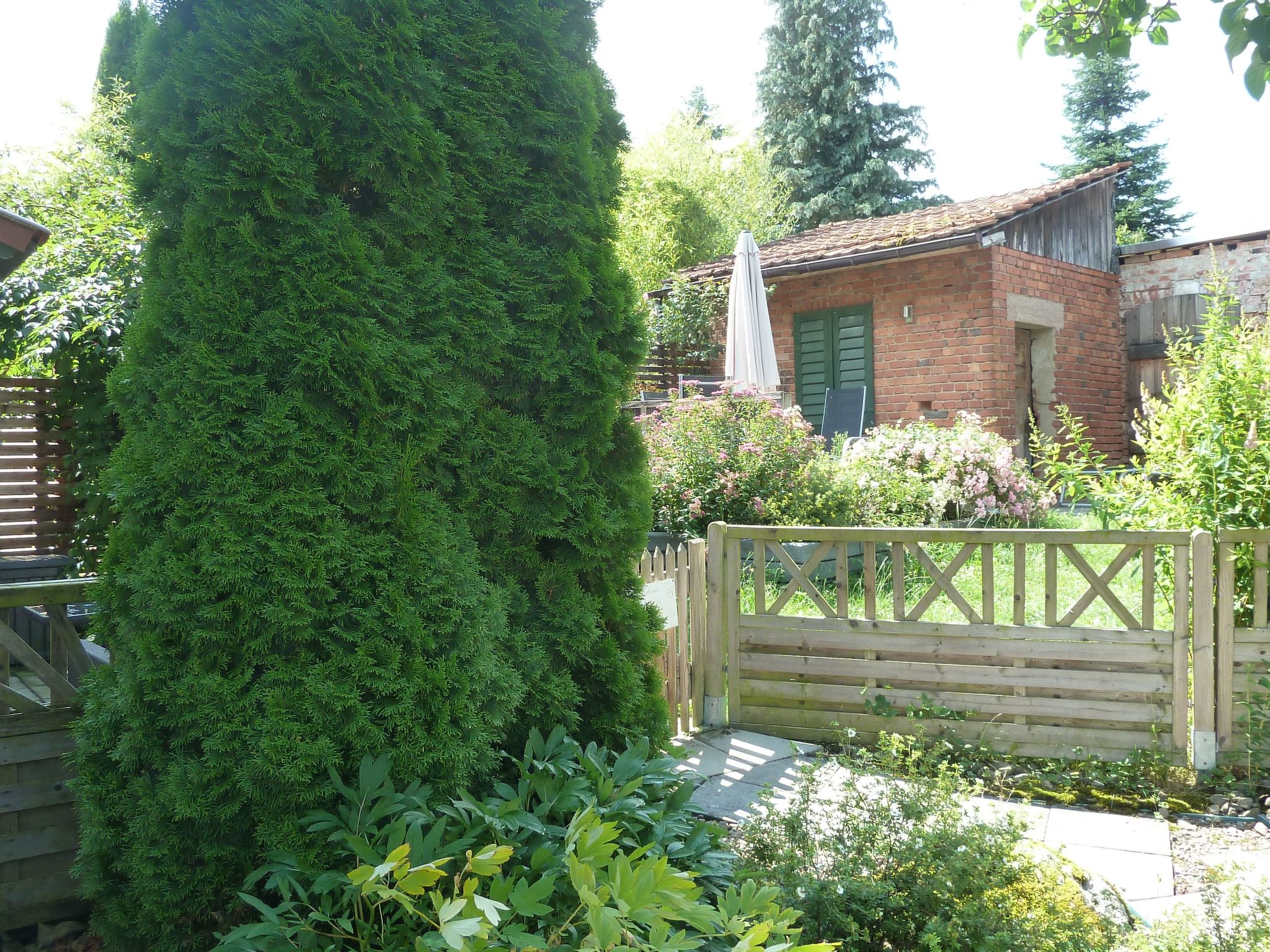 Lotti-Image-tags.info