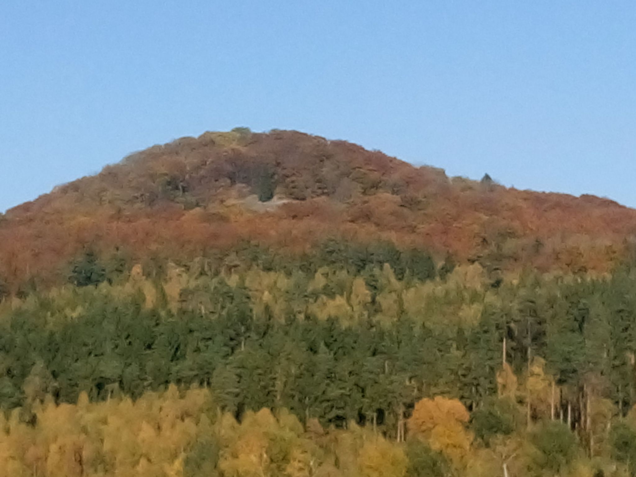 Alte Apotheke-Draußen