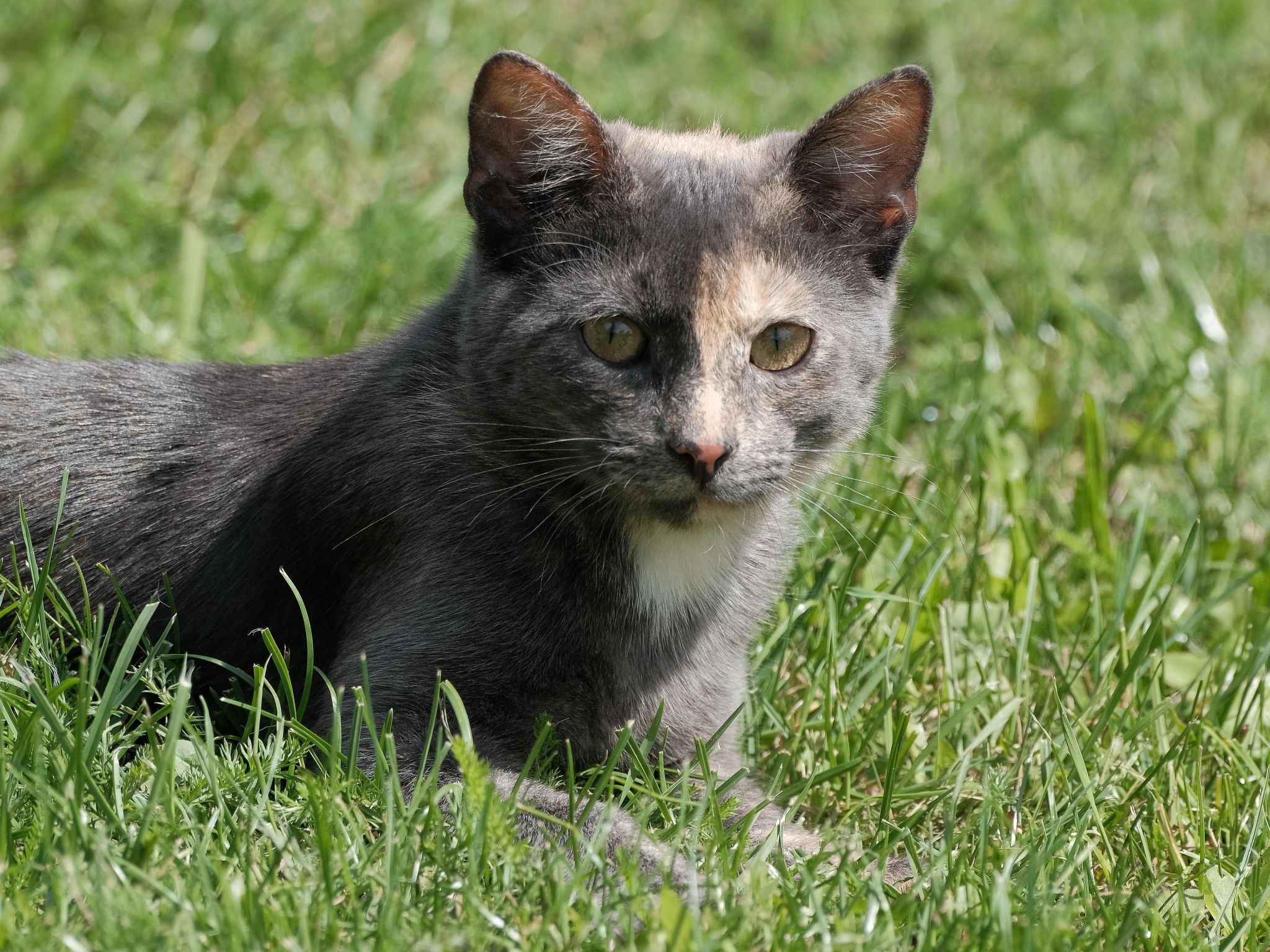 Fewo. Liebelt-Binnen