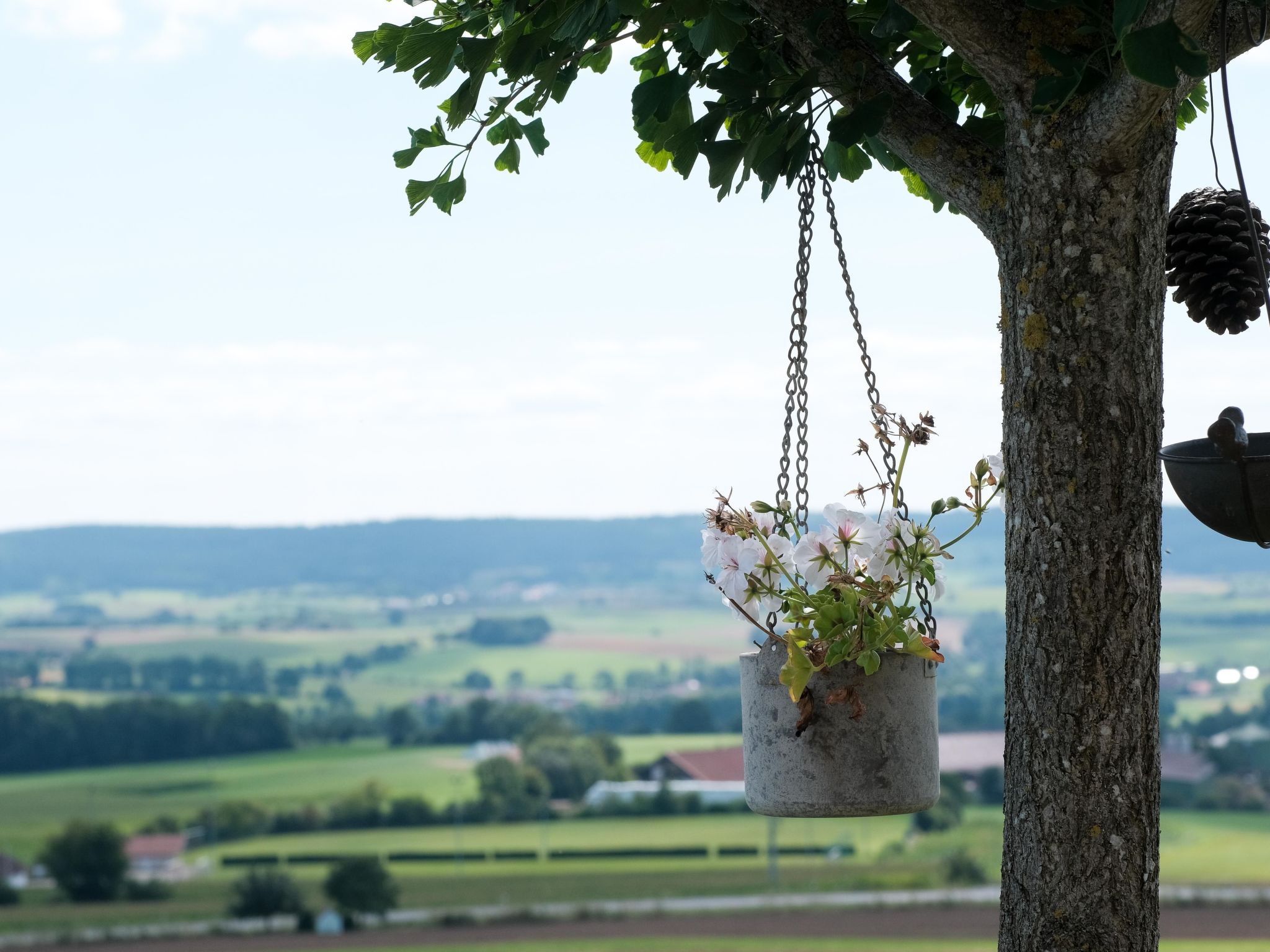 Fewo. Liebelt-Binnen