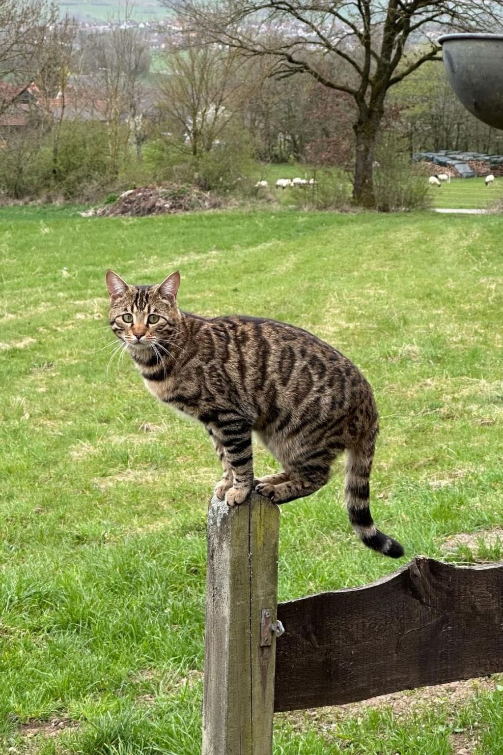 Fewo. Liebelt-Binnen