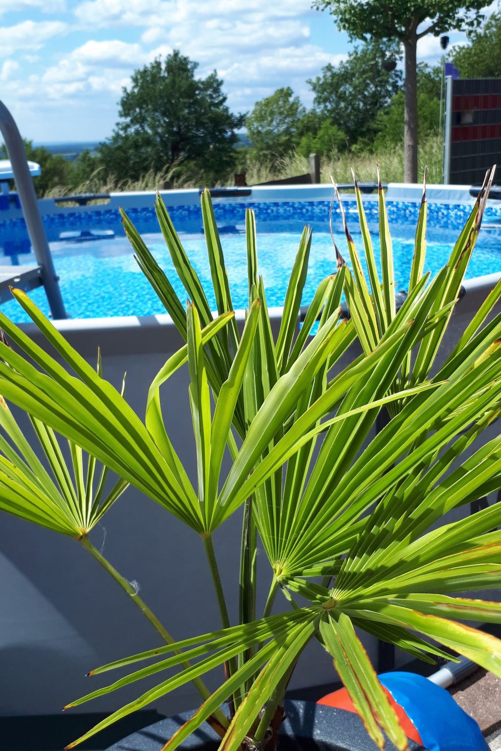 Fewo. Liebelt-Binnen