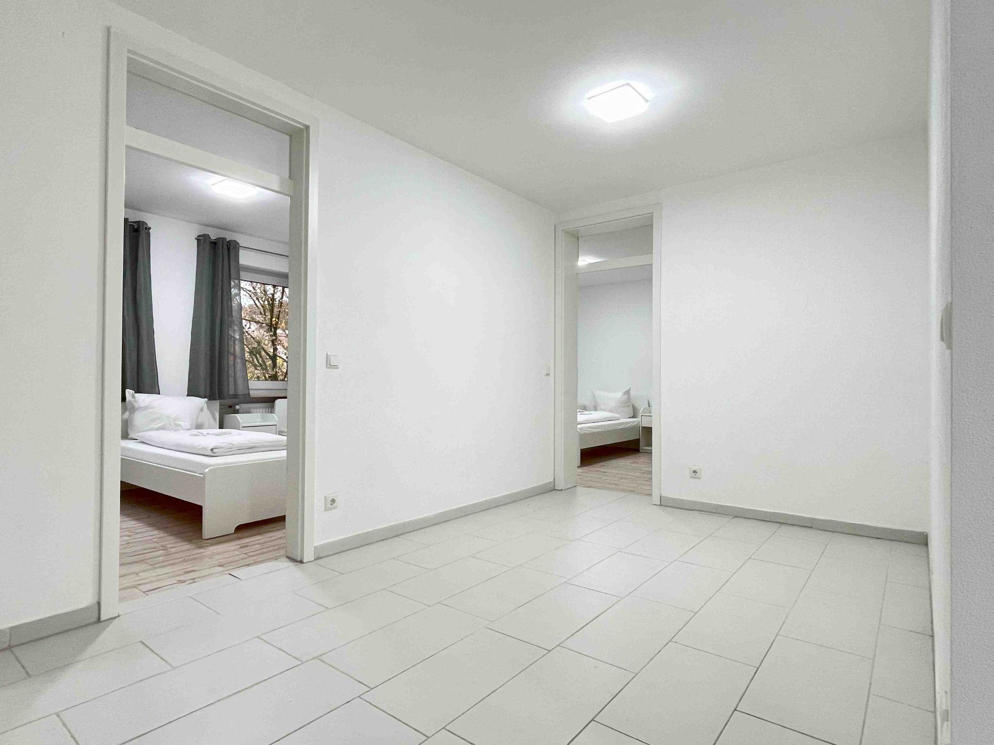 LAP101-Image-tags.info