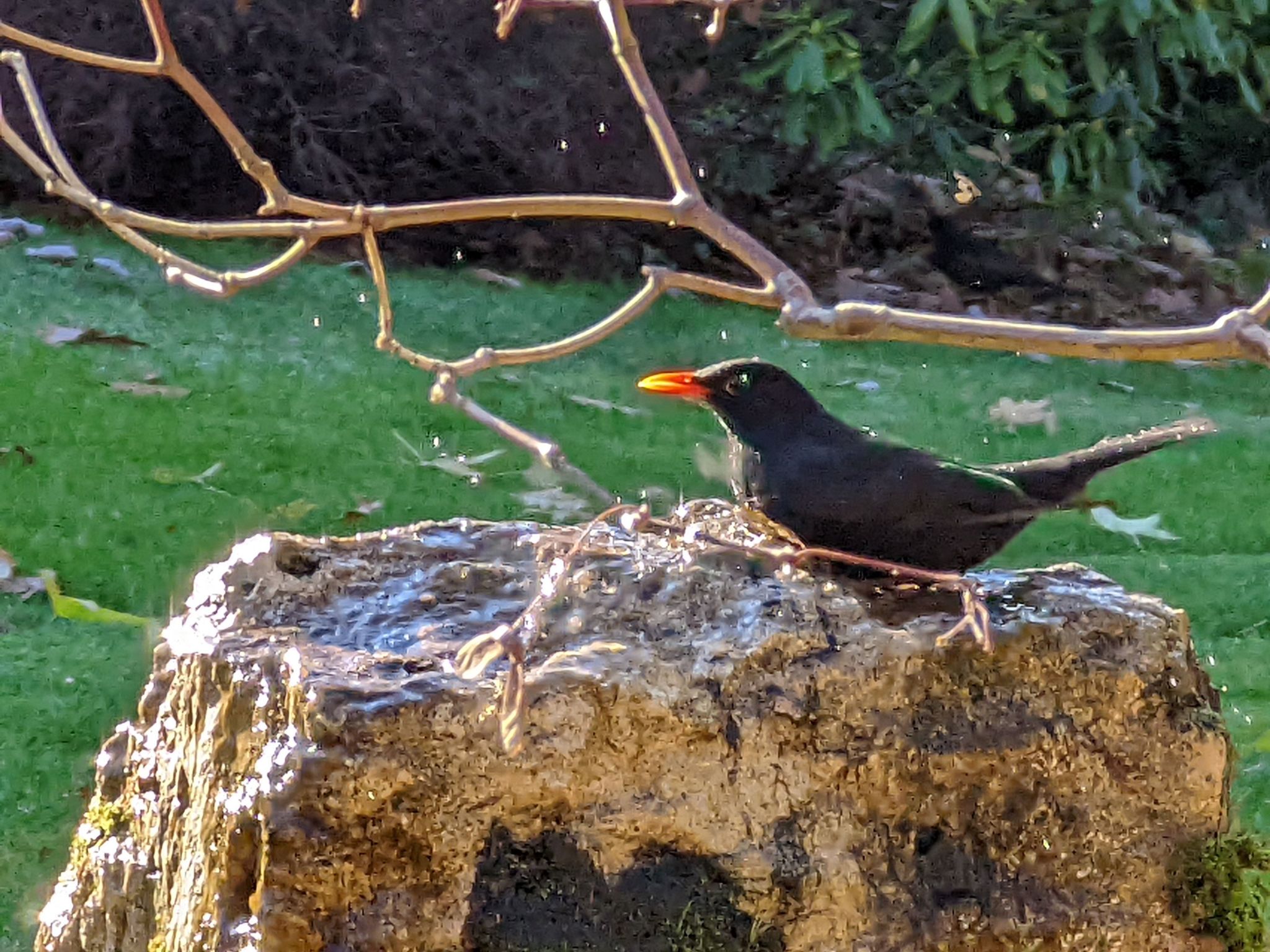 Auszeitoase Freystadt - Park, Billard, Sauna, Kamin, E-Bikes, - ideal für große-Image-tags.info