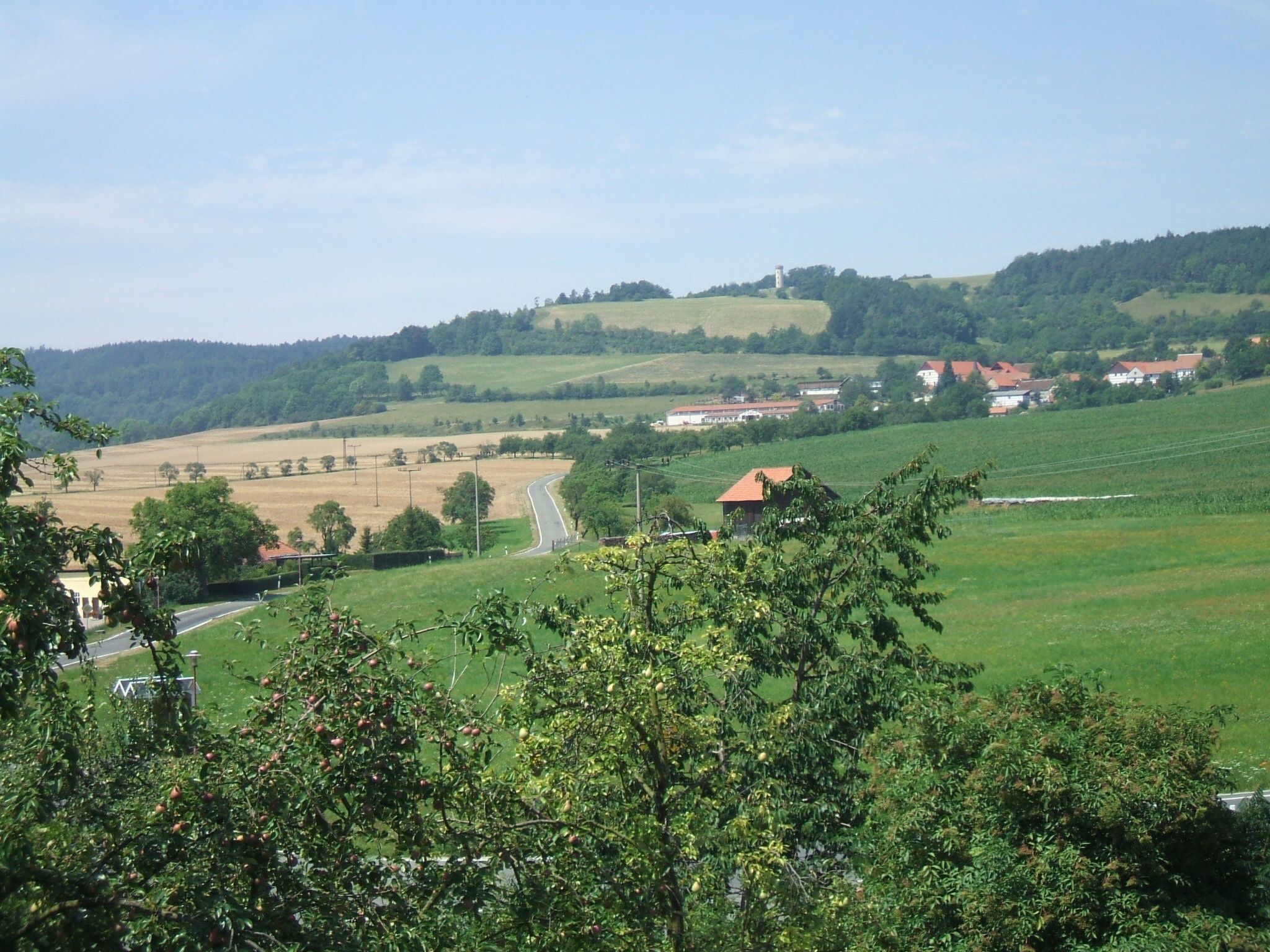 Gemütliche Ferienwohnung mit Garten-Binnen