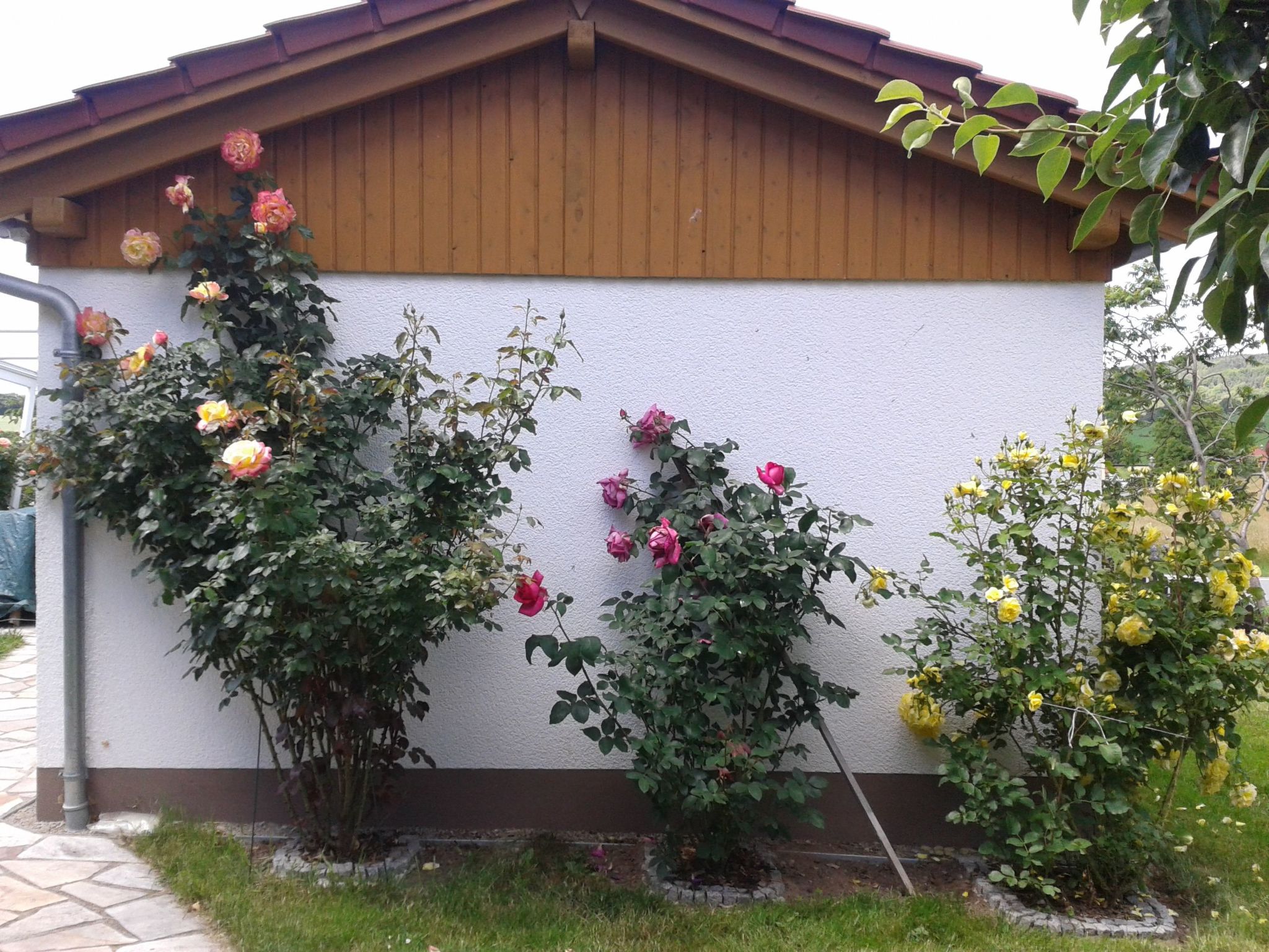 Gemütliche Ferienwohnung mit Garten-Binnen