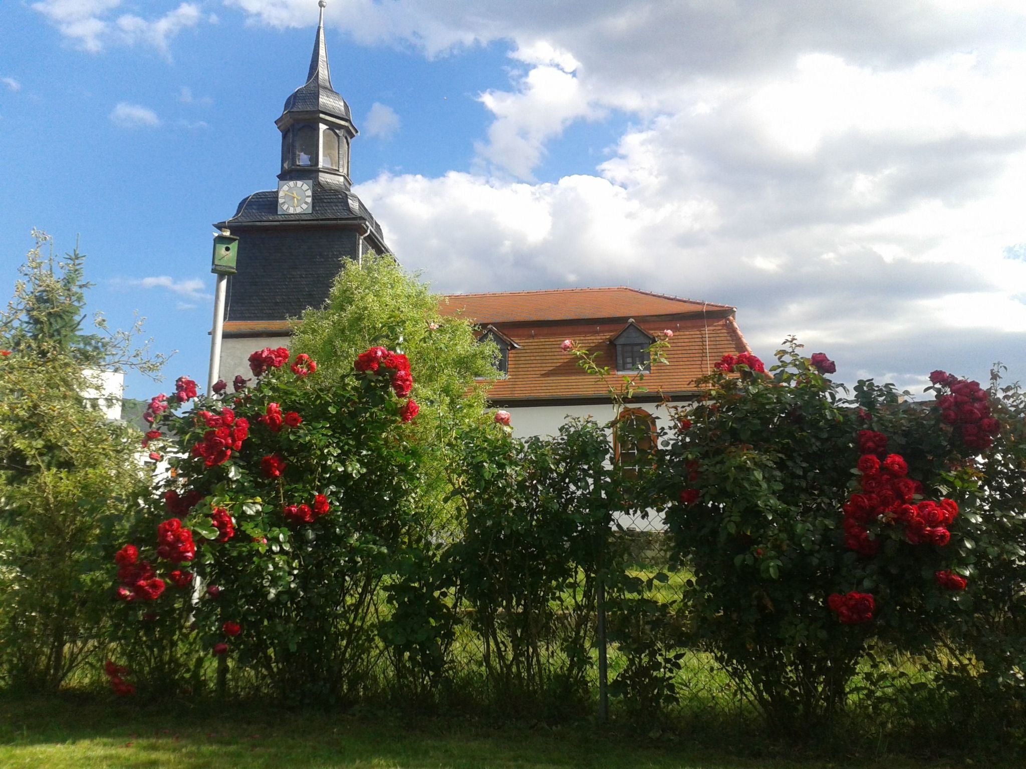 Gemütliche Ferienwohnung mit Garten-Binnen