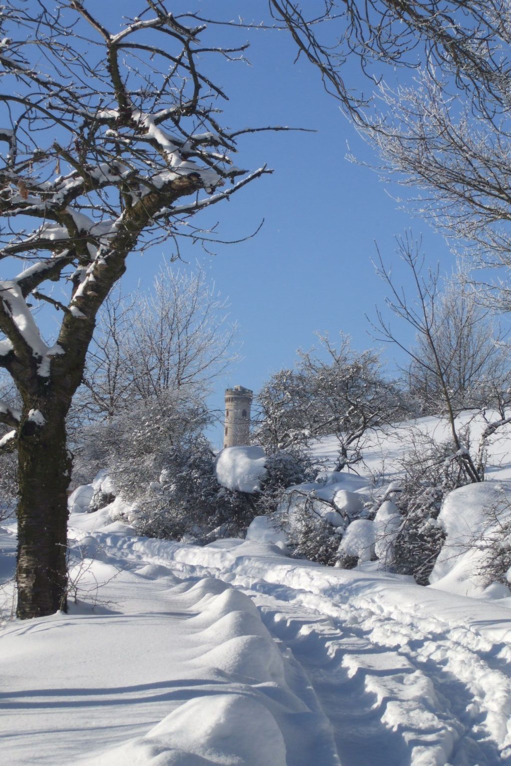 Gemütliche Ferienwohnung mit Garten-Binnen