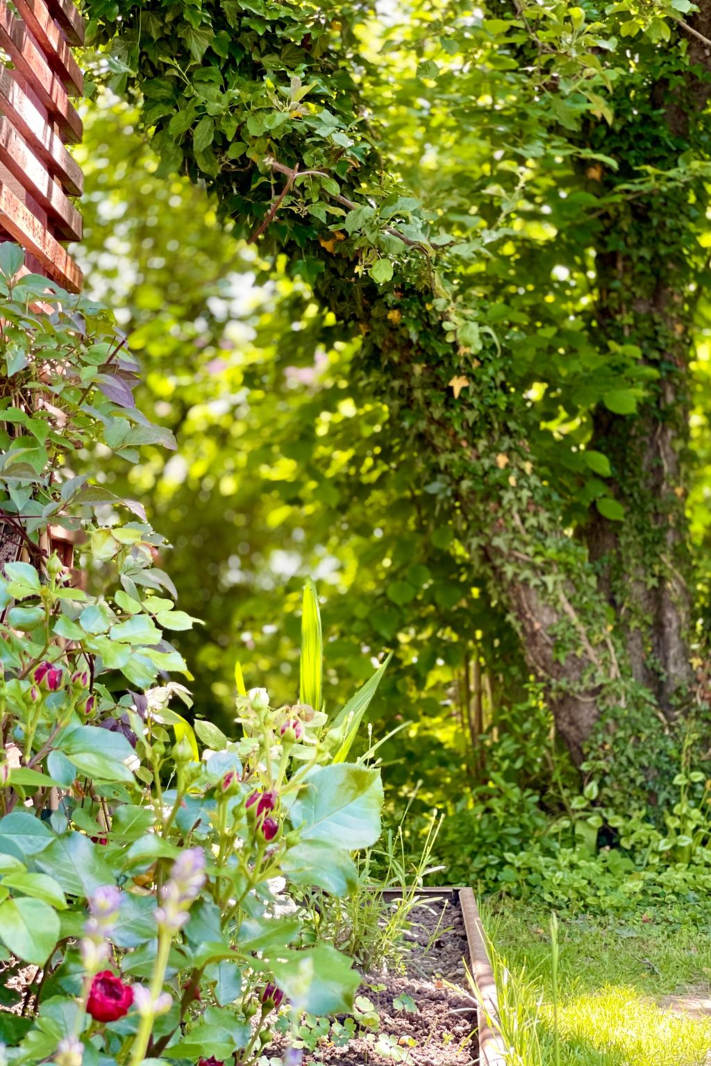 Die Villetta-Outside