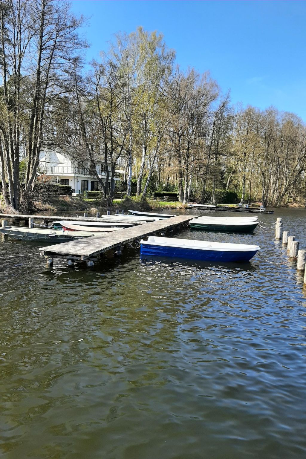 Vanessa für 8 Personen-Image-tags.info