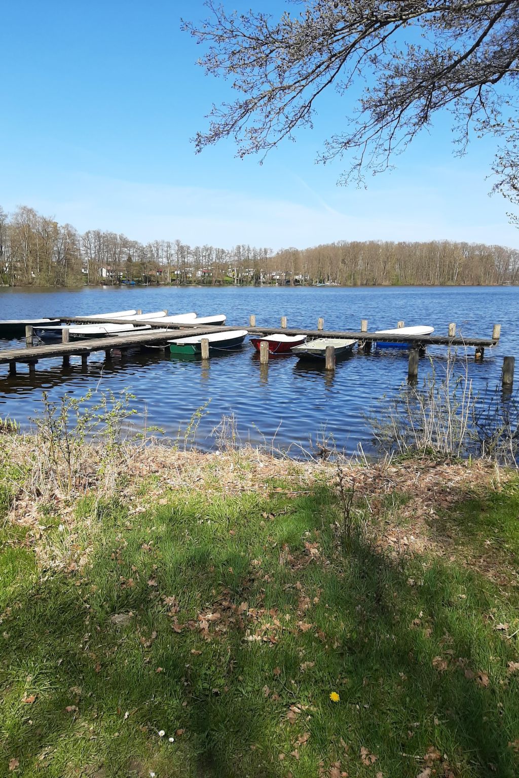 Vanessa für 8 Personen-Image-tags.info