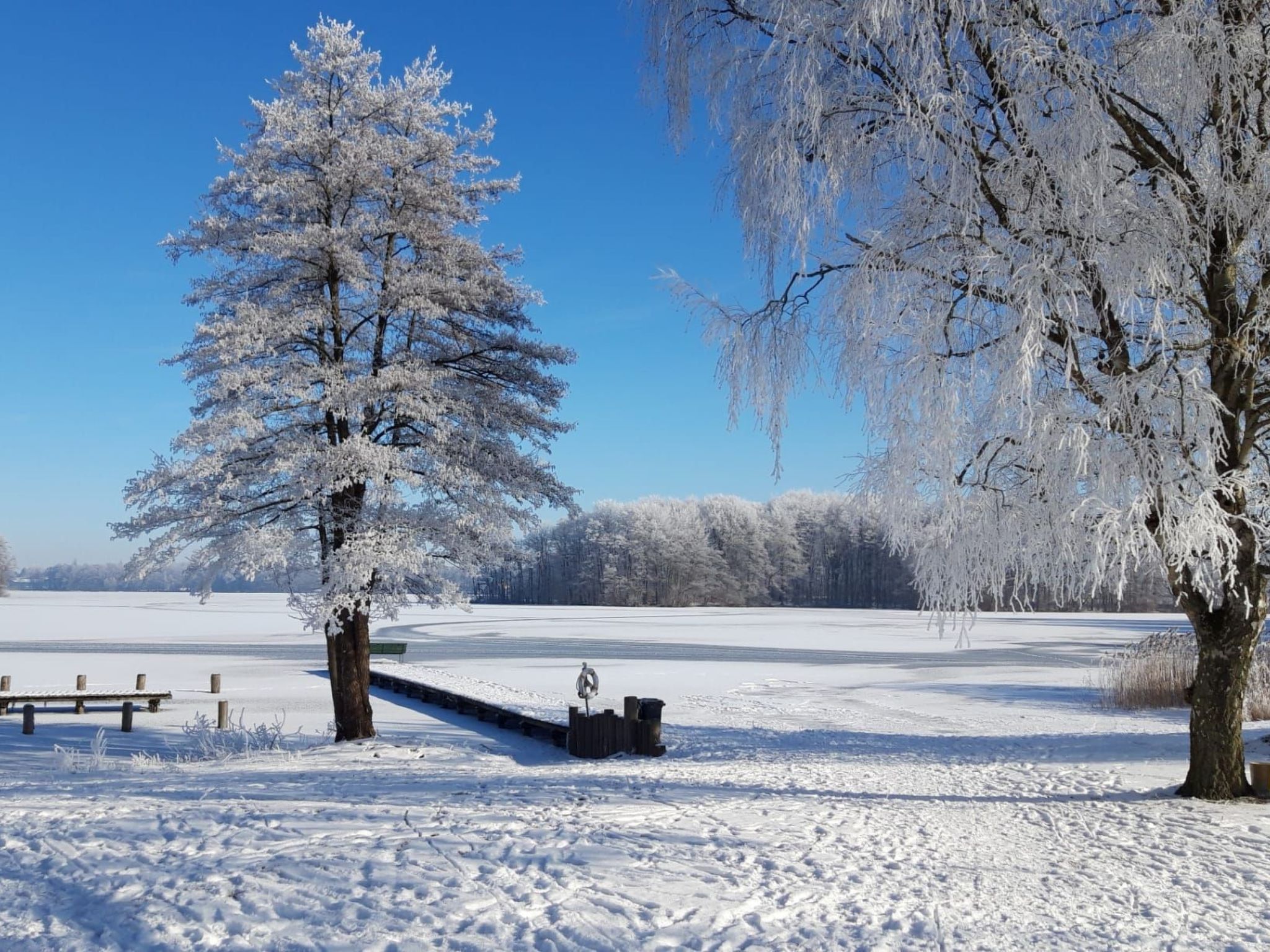 Vanessa für 8 Personen-Image-tags.info