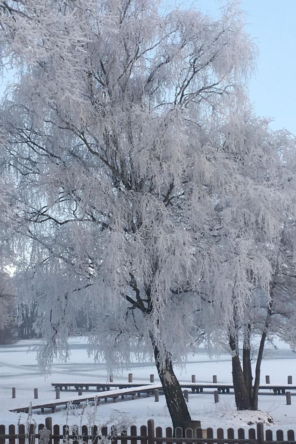 Vanessa für 8 Personen-Image-tags.info