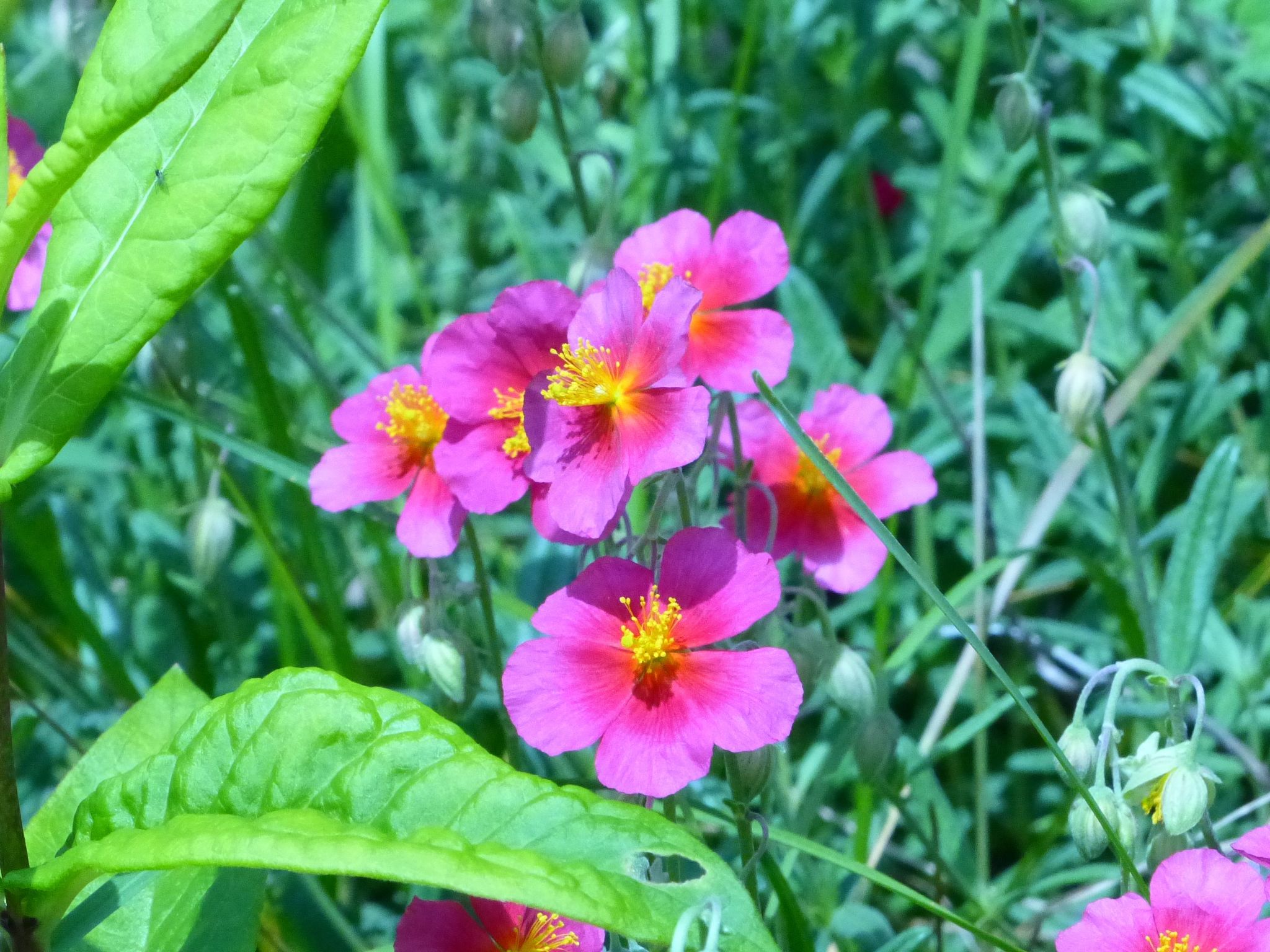 ApartmentmitAusblick-Image-tags.info