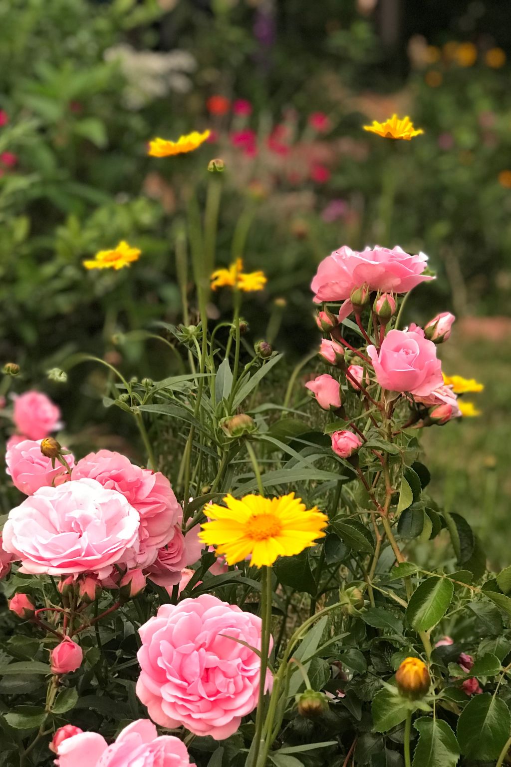 ApartmentmitAusblick-Image-tags.info