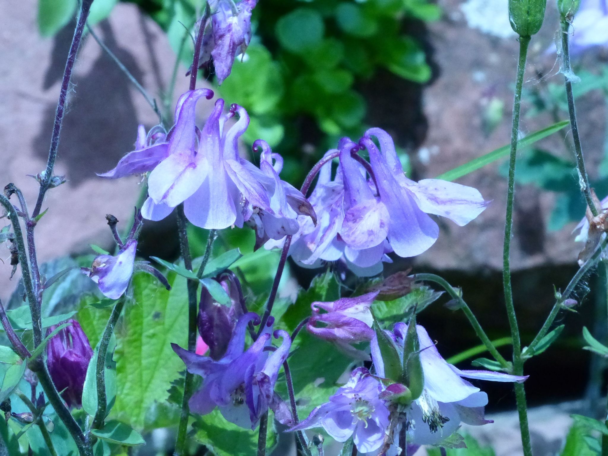 ApartmentmitAusblick-Image-tags.info