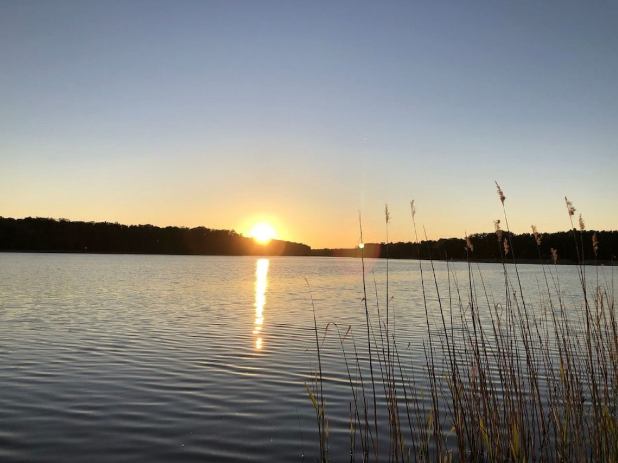 Reetdach Ferienhaus am Lübbesee Sauna Bootsteg neu-Binnen