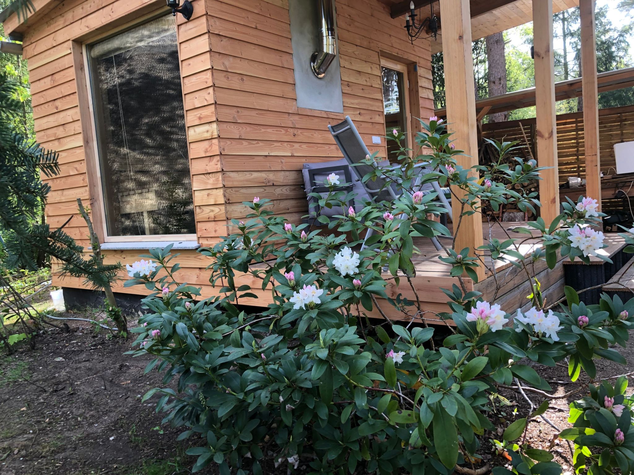 Reetdach Ferienhaus am Lübbesee Sauna Bootsteg neu-Binnen