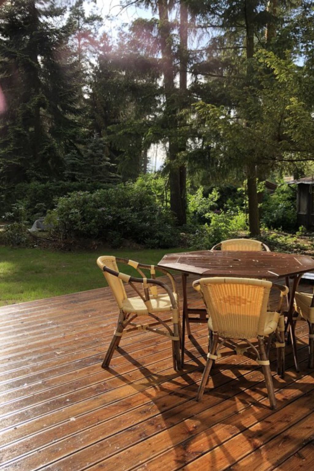 Reetdach Ferienhaus am Lübbesee Sauna Bootsteg neu-Binnen