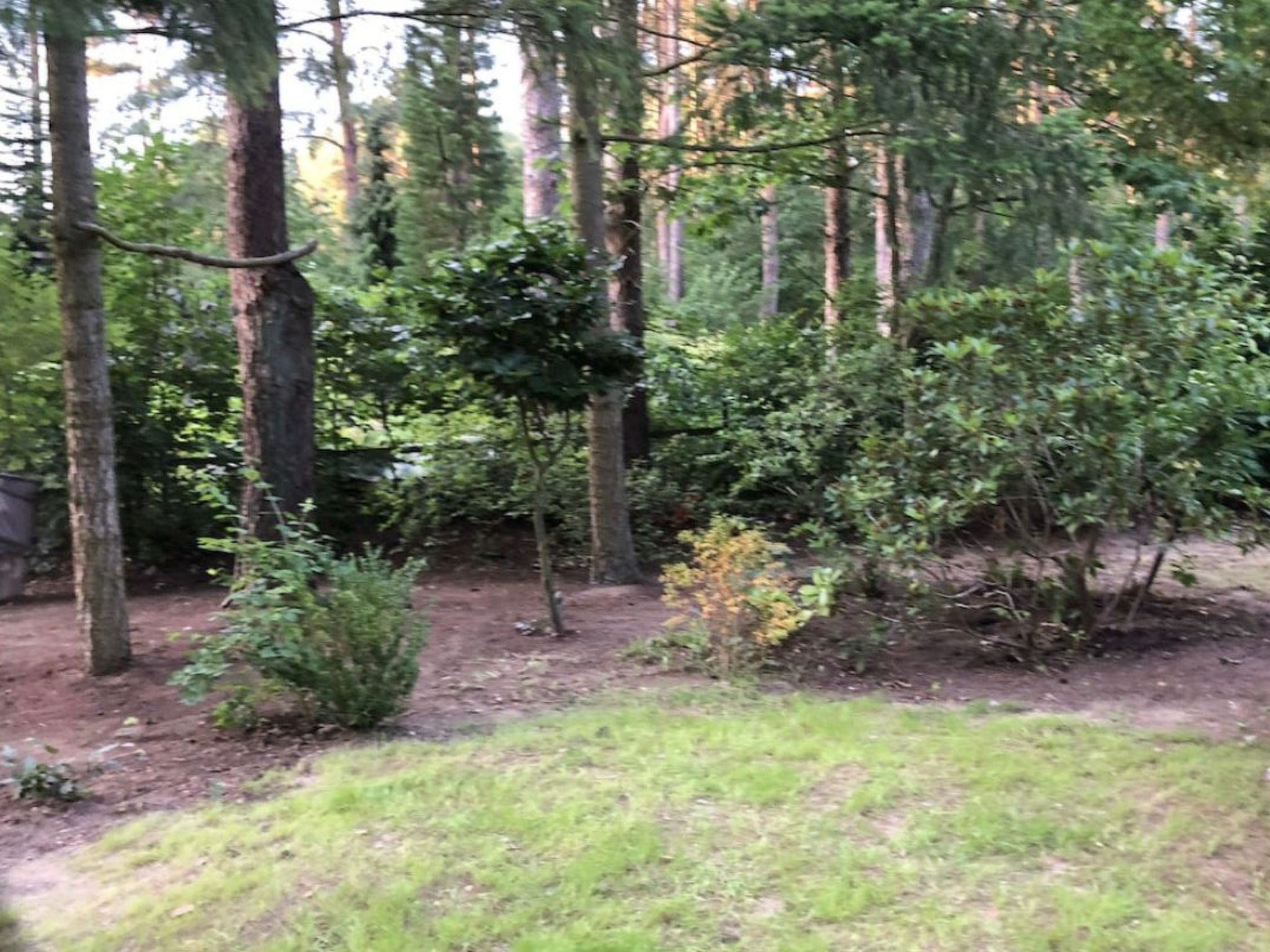 Reetdach Ferienhaus am Lübbesee Sauna Bootsteg neu-Binnen